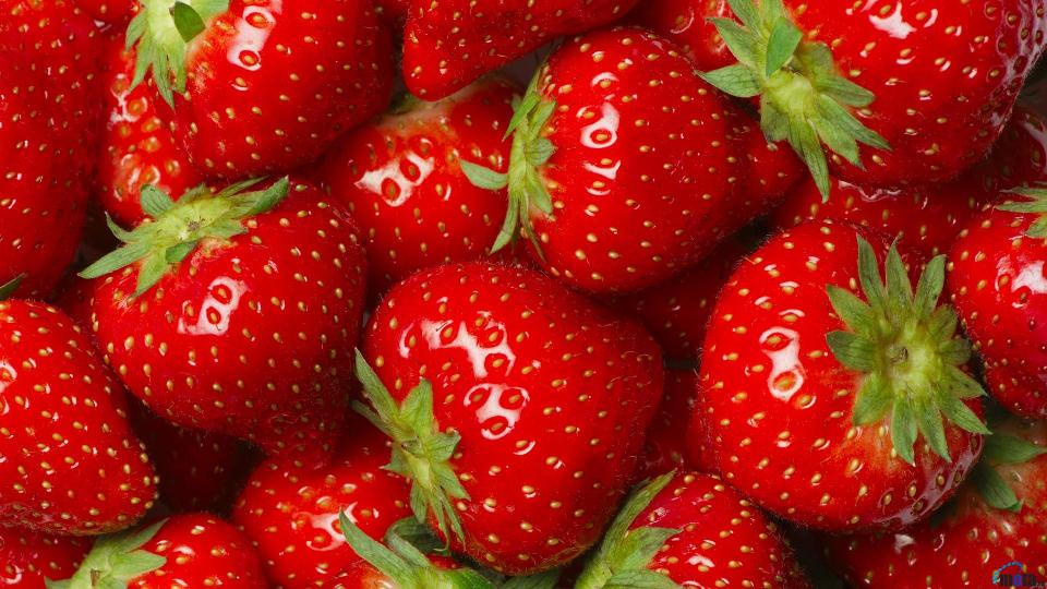  to Download Fresh Strawberries HD Wallpapers Backgrounds Next Image 960x540
