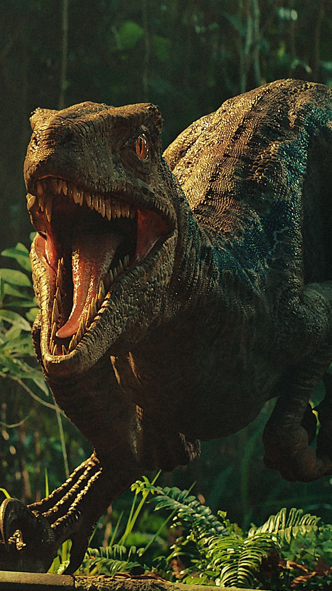 Jurassic World Dinosaur Wallpaper