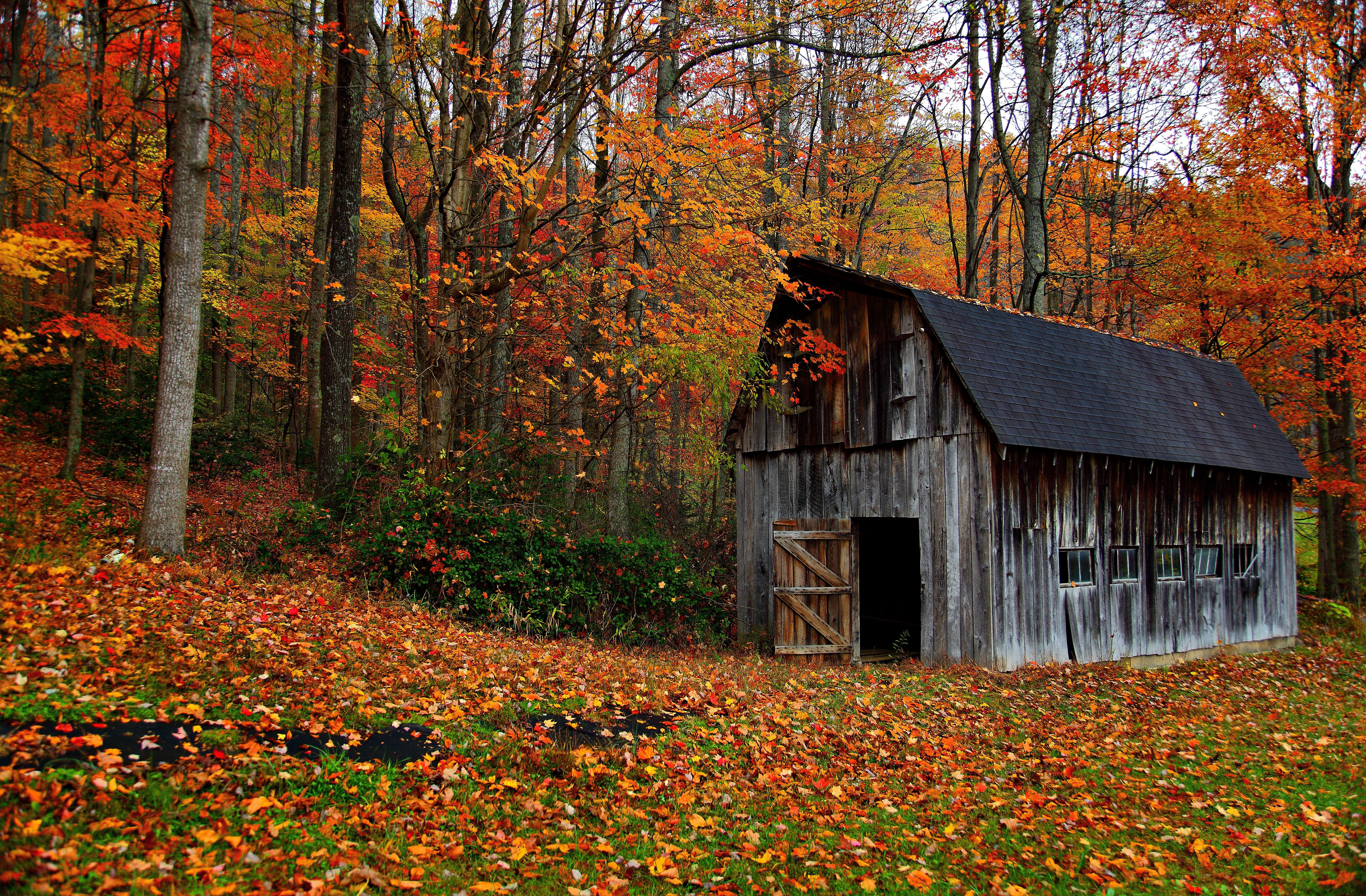 Autumn Country Barn Structures Nature Pictures By Forestwander