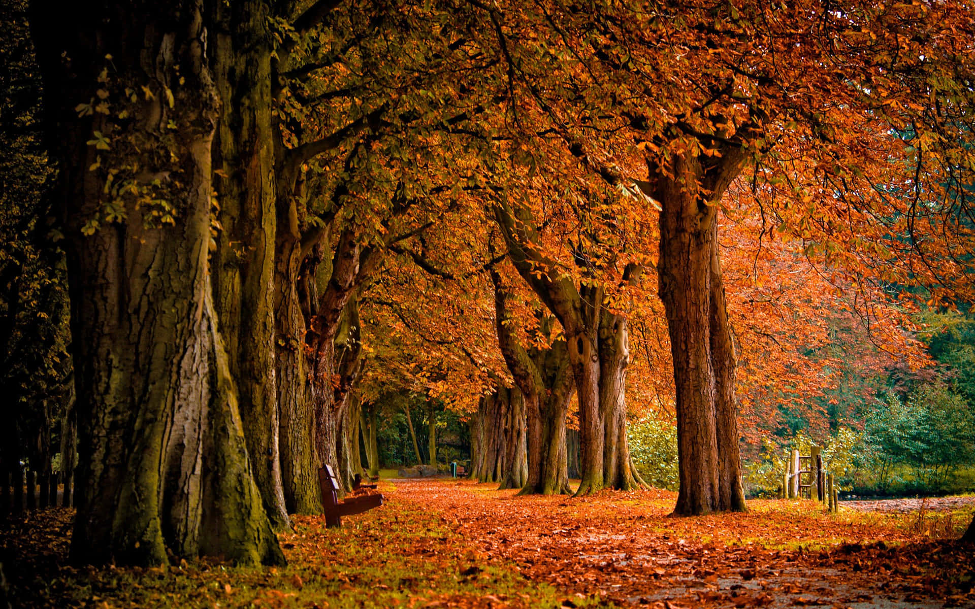 A Perfect Fall Day Waiting To Be Explored Wallpaper