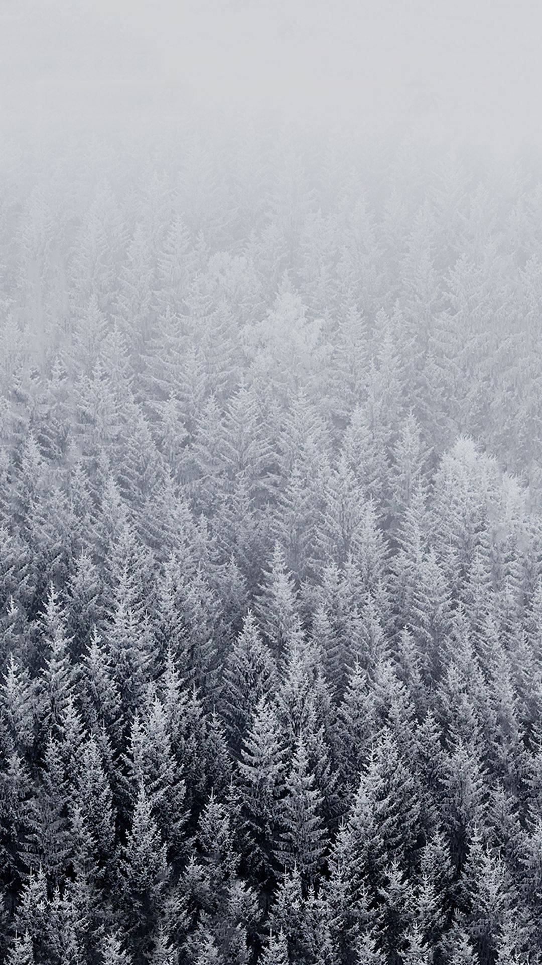 Winter iPhone Wallpaper