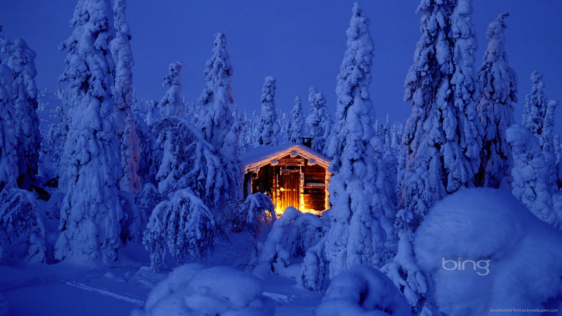 HD Bing Highlighted House In Deep Snowy Forest Wallpaper