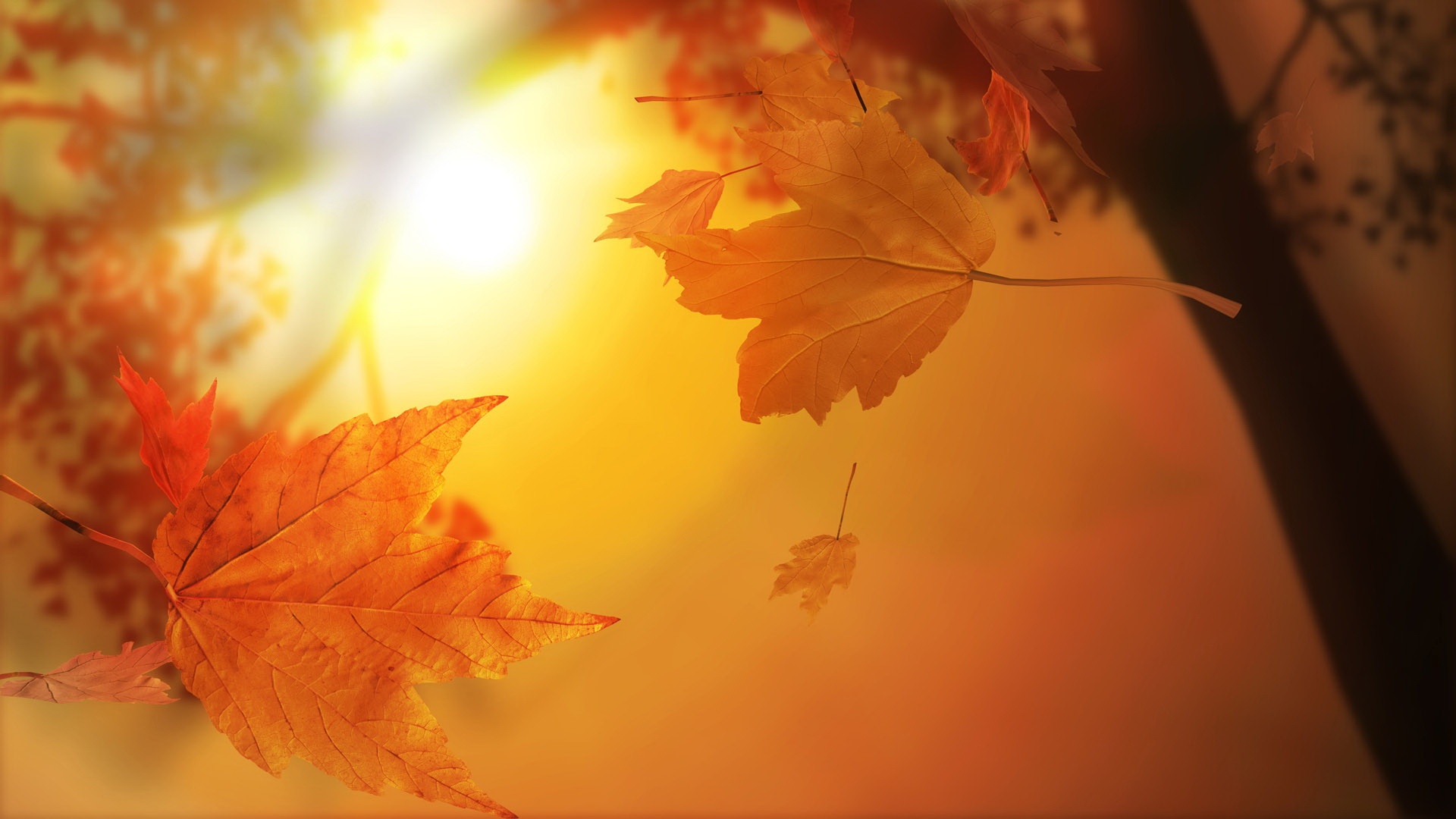 Cute Fall Wallpaper 59 pictures