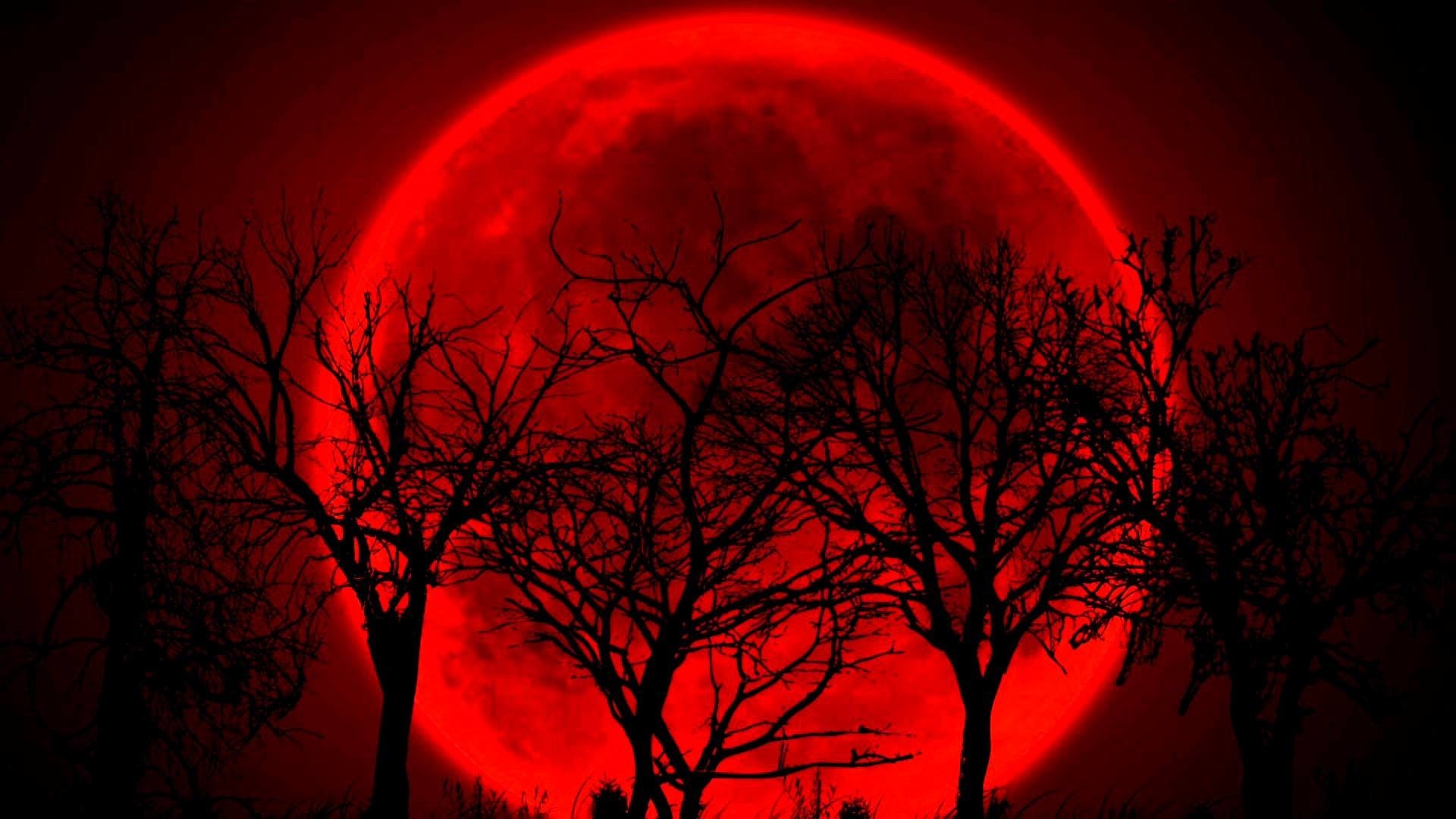Blood Moon HD Wallpaper Image