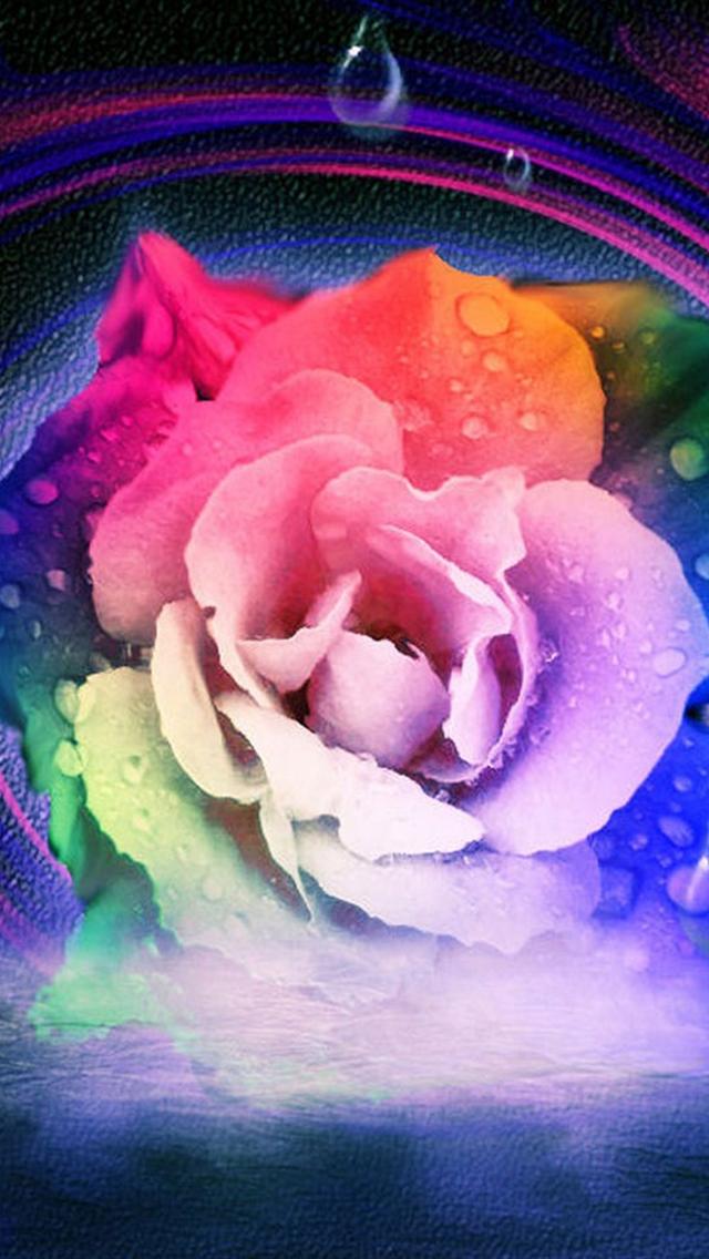 Pretty Color Flowers iPhone Background HD
