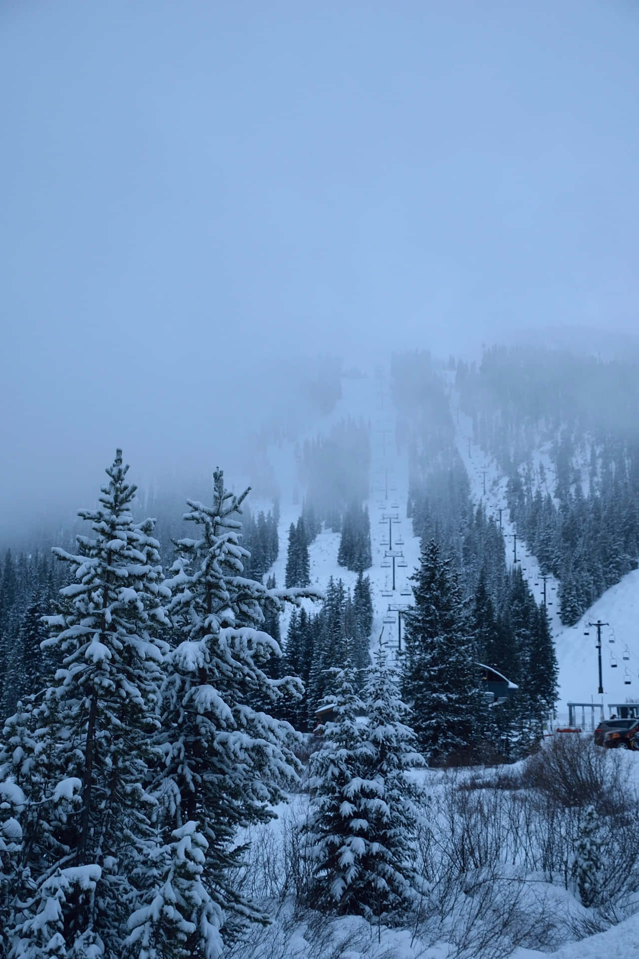 Snow Aesthetic Picture Wallpaper