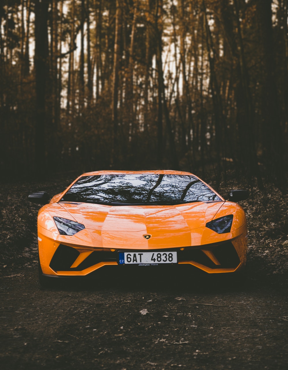 Lamborghini Pictures Image