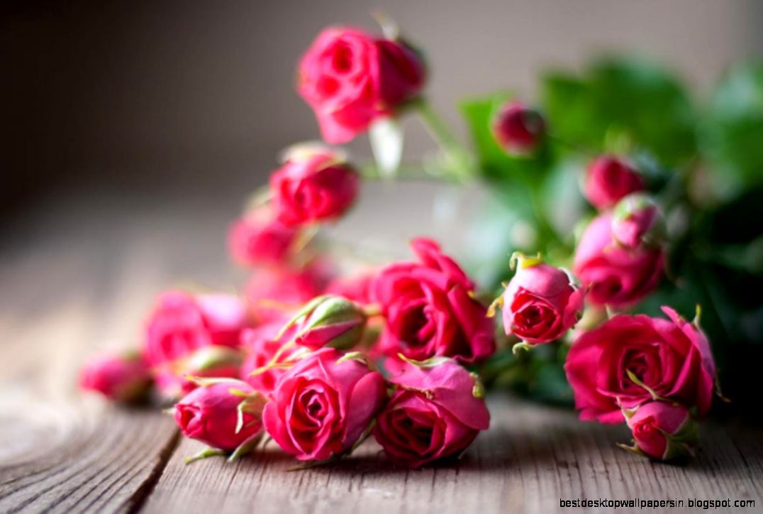HD Wallpaper Of Flowers Roses Happy Rose Day Image