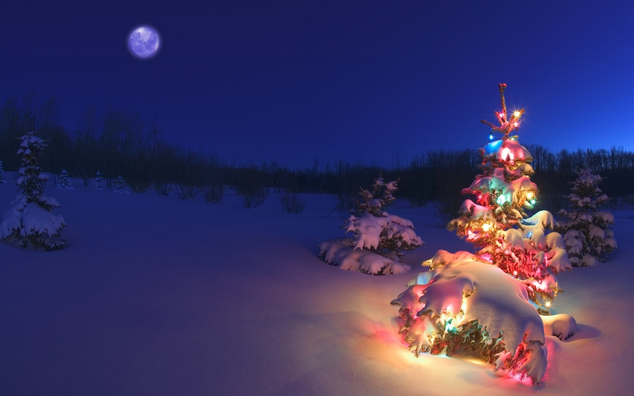 Christmas Tree In The Snow Desktop Pc And Mac Wallpaper