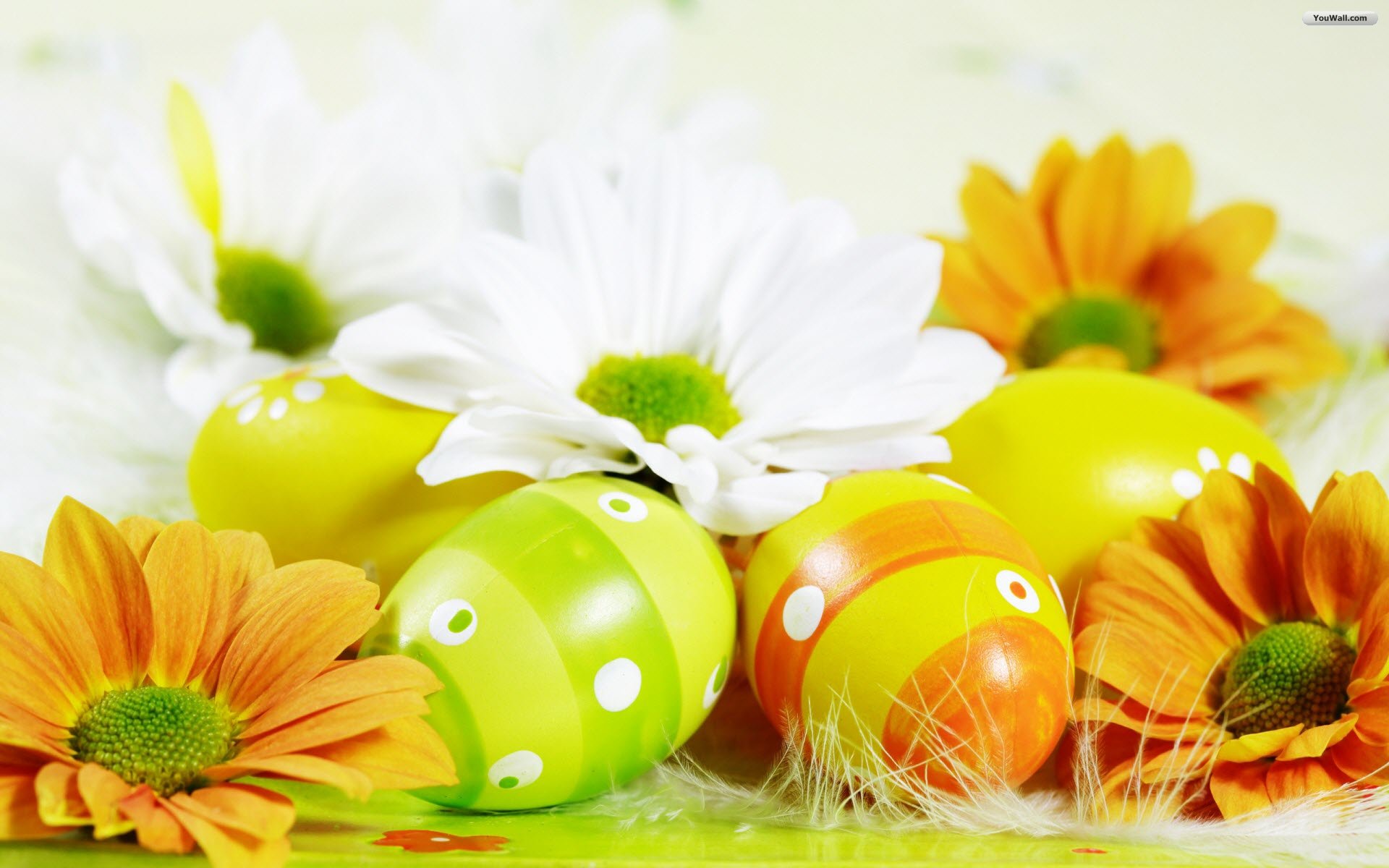 Sweet And Pretty Easter Wallpaper For Your Desktopseize Design