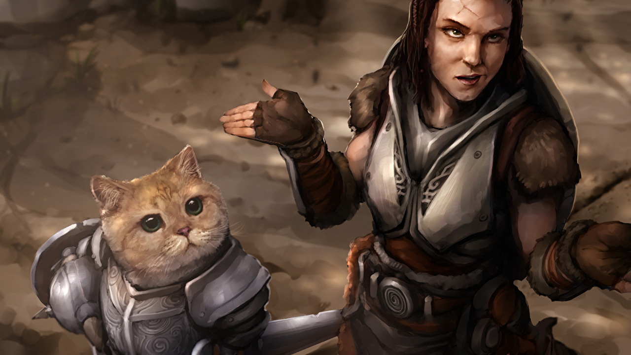 Wallpaper Cats Armor Warrior Fantasy Magical Animals