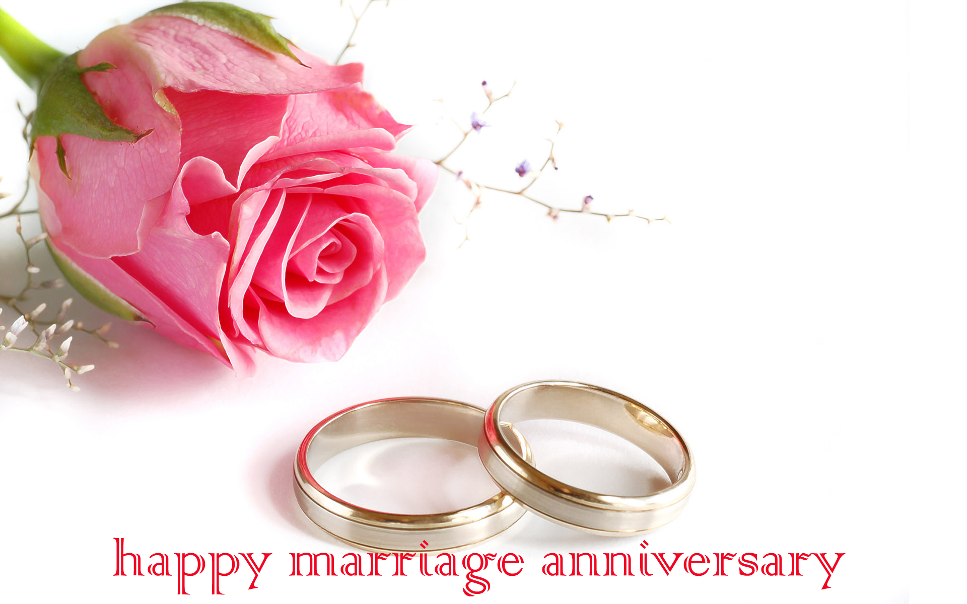 Happy Marriage Anniversary With Roses HD Wallpaper