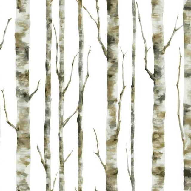 Forest Birch Tree Wallpaper Double Roll Contemporary