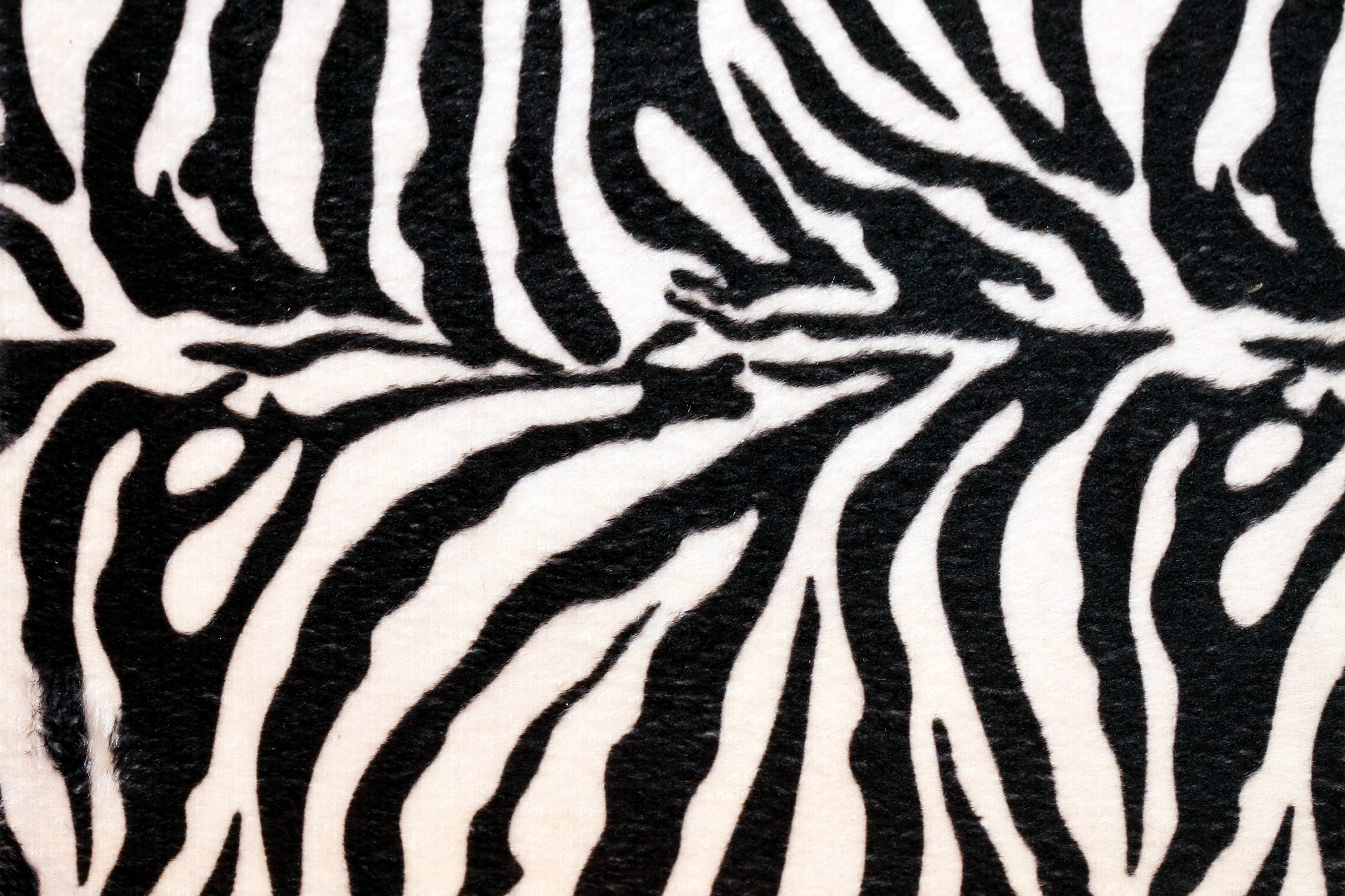 Cute Zebra Print Wallpaper HD Glefia