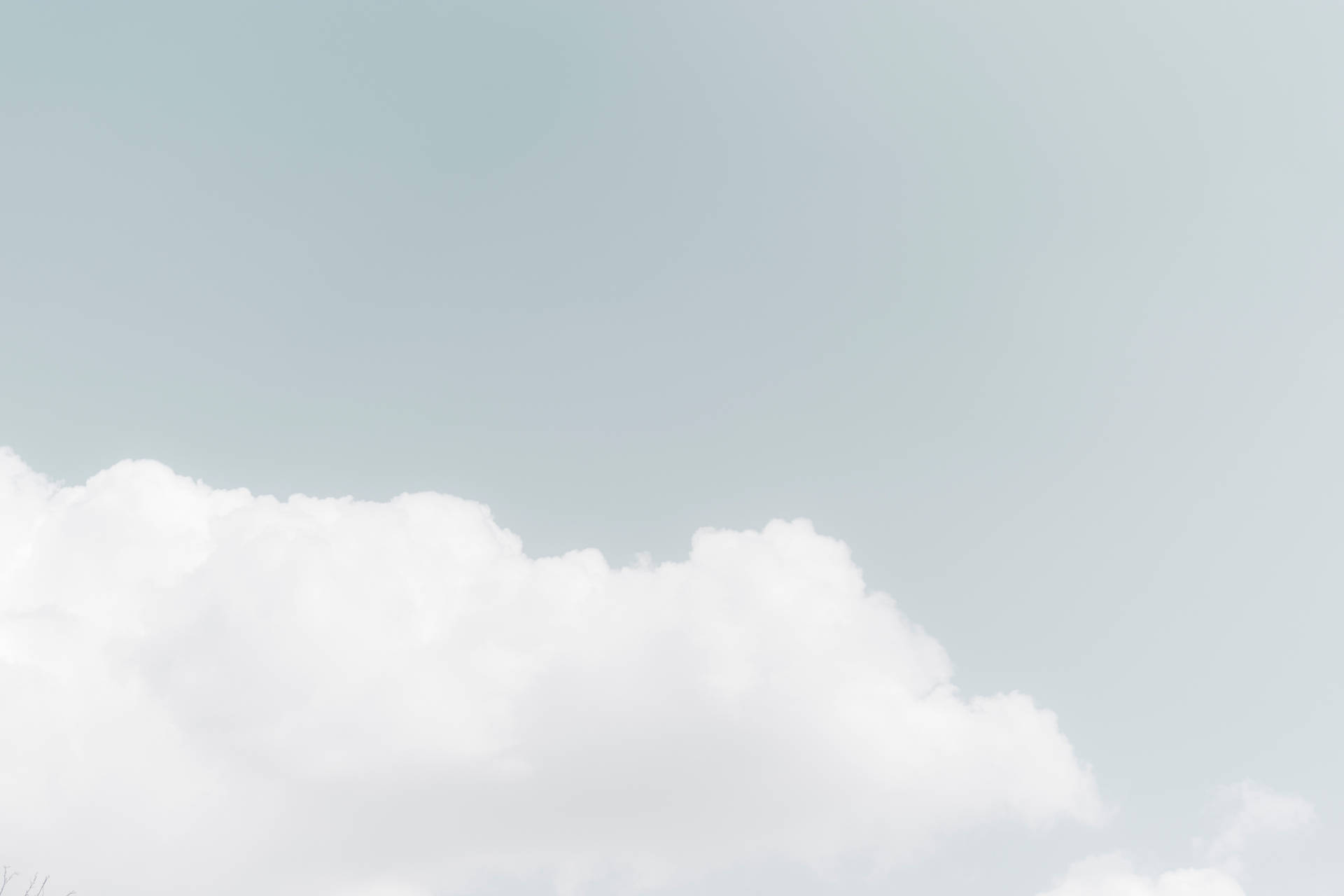 Pap Is De Parede Betty White Wallpaper
