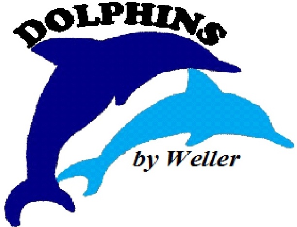 Miami Dolphons And Redesigned Logo Dolphins Circa