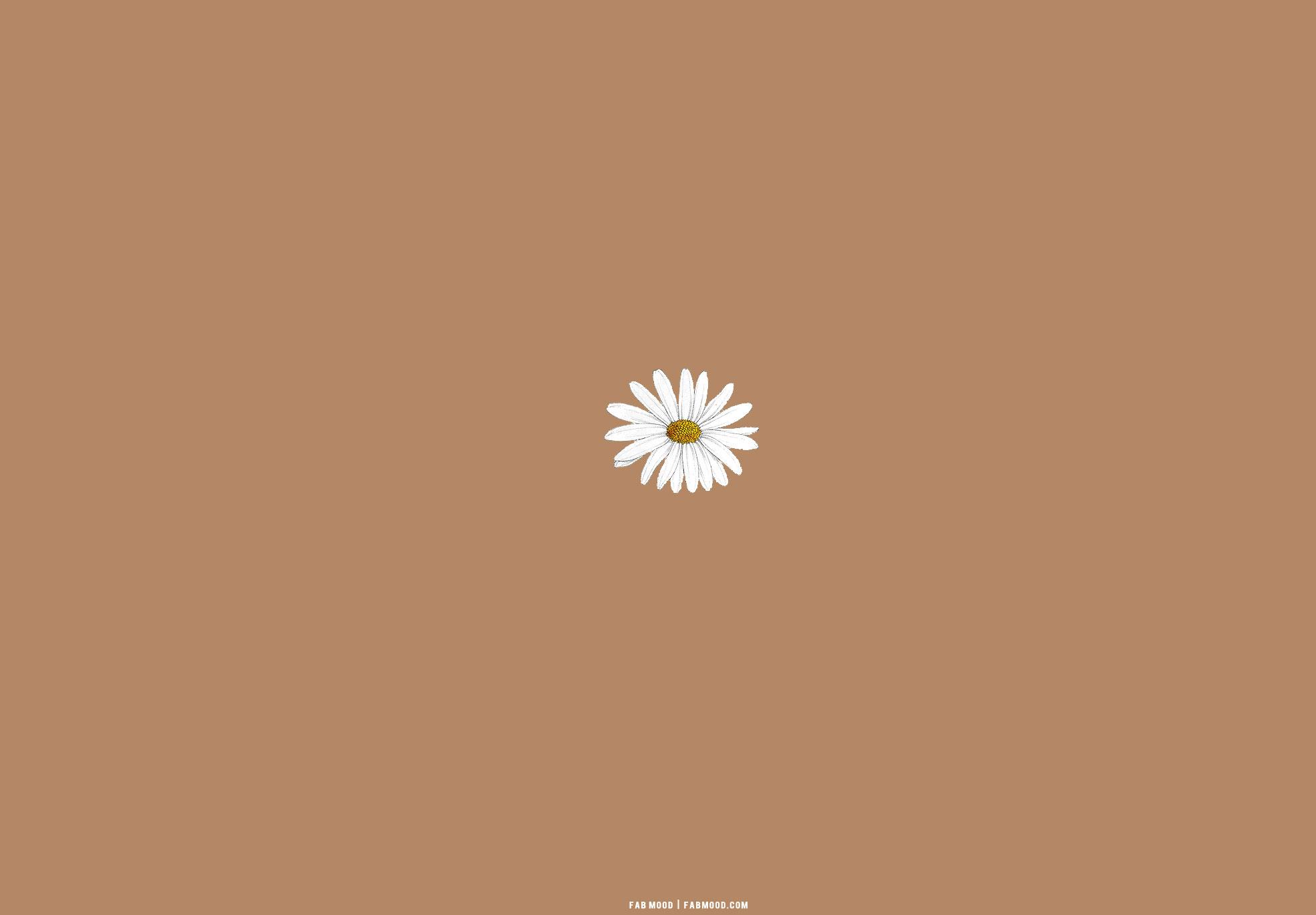  Brown Aesthetic Wallpaper for Laptop Daisy Fab Mood