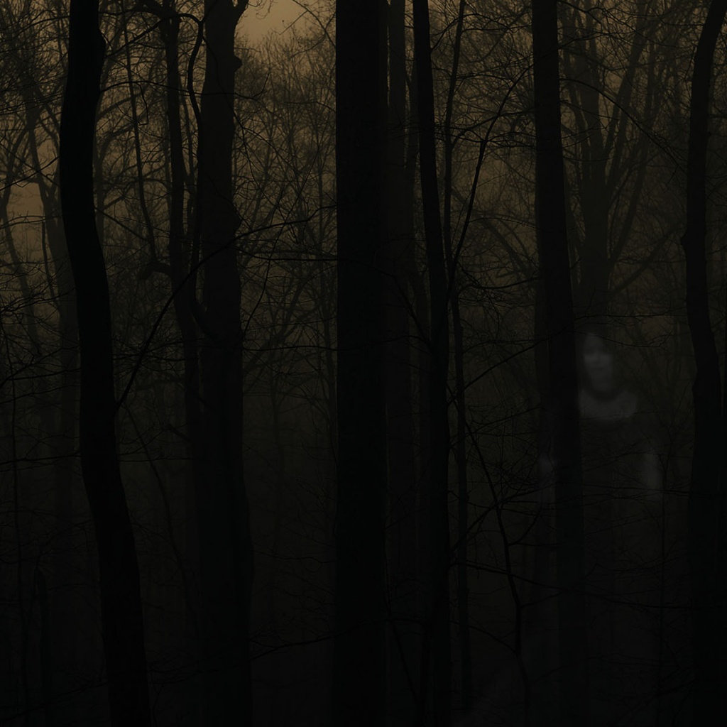 Wallpaper Gothic Scary Forest Picture At Dusk