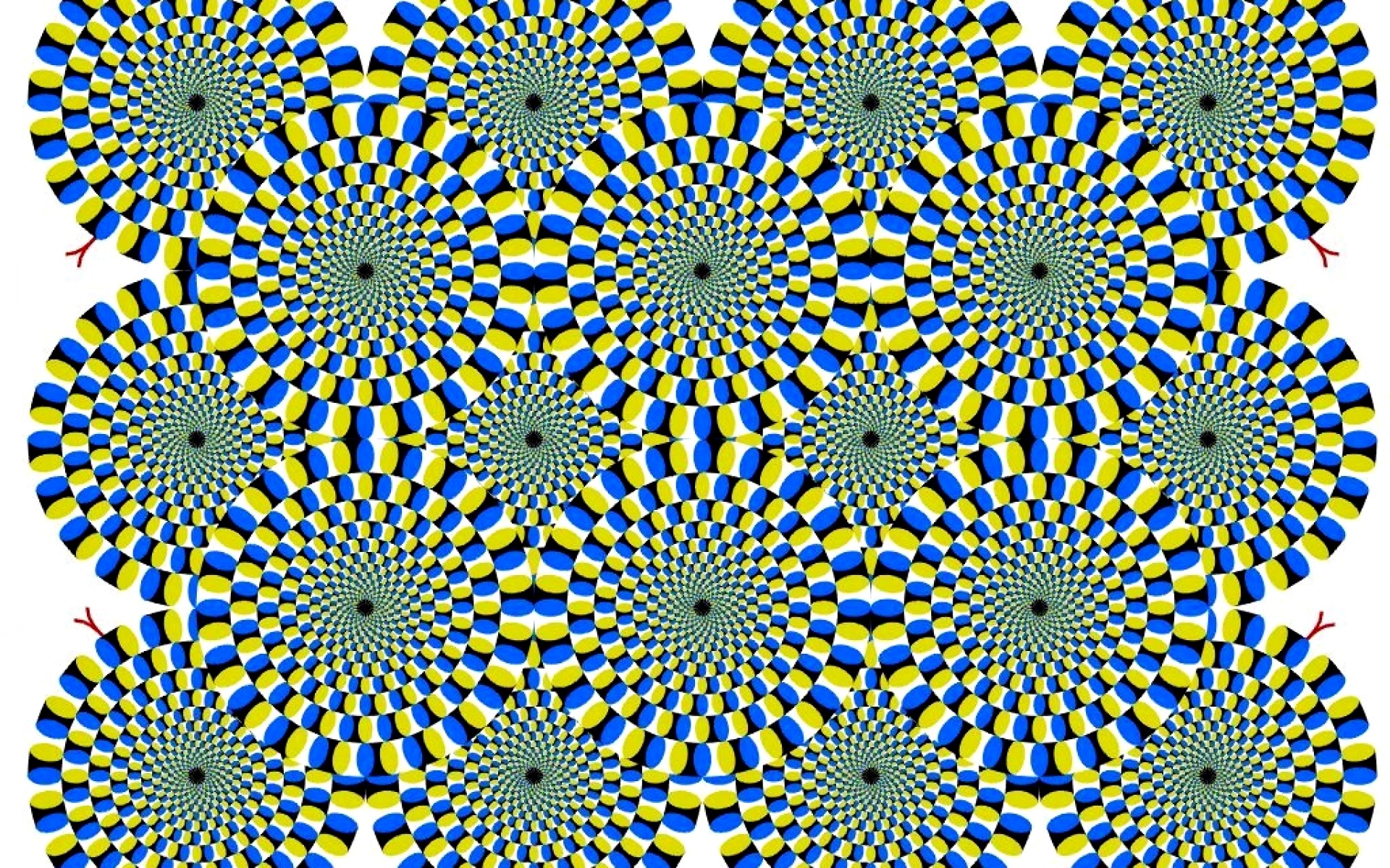 Moving Circles Cool Optical Illusion Widescreen And Full HD