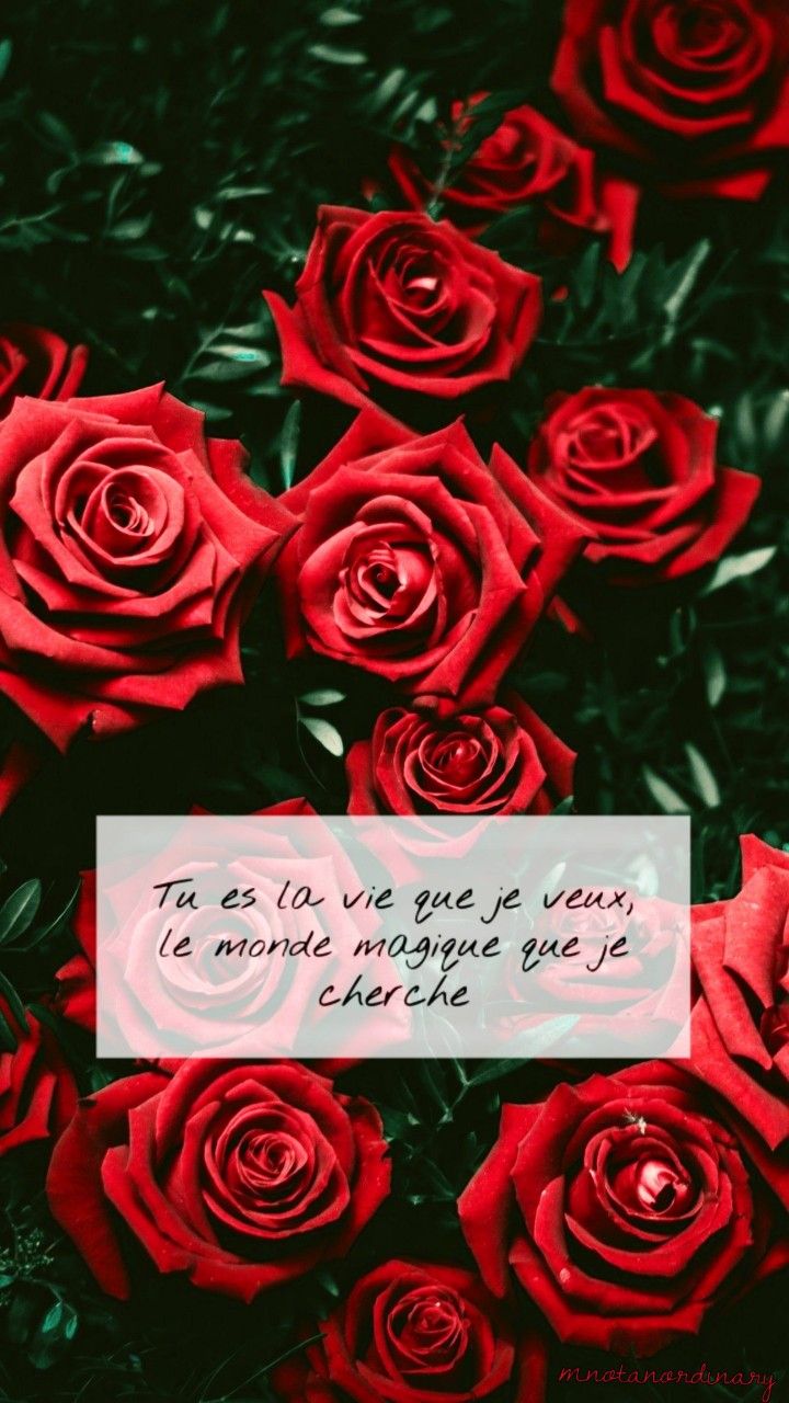 Roses With French Quote Wallpaper Pink