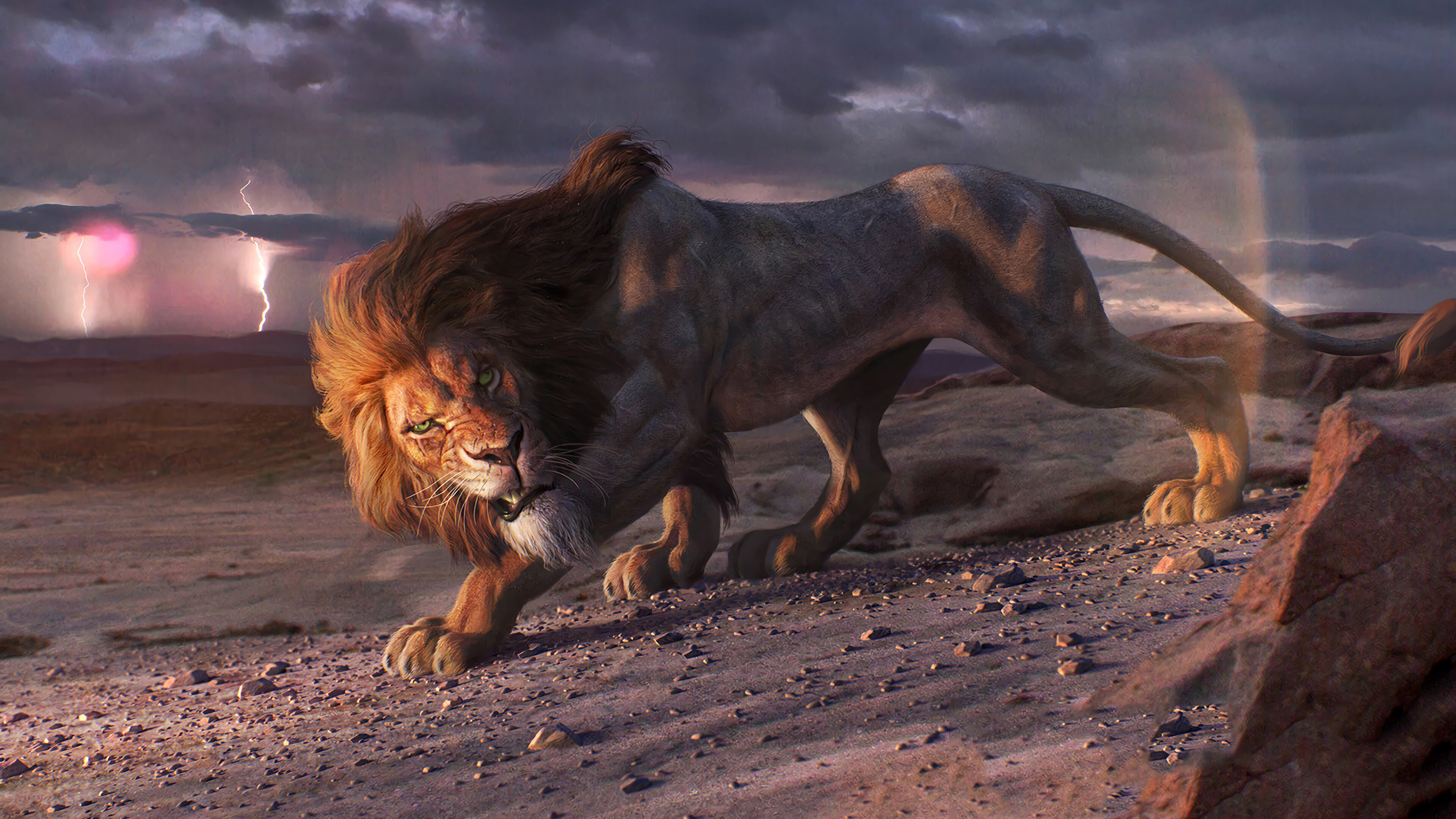 The Lion King Wallpaper 4k