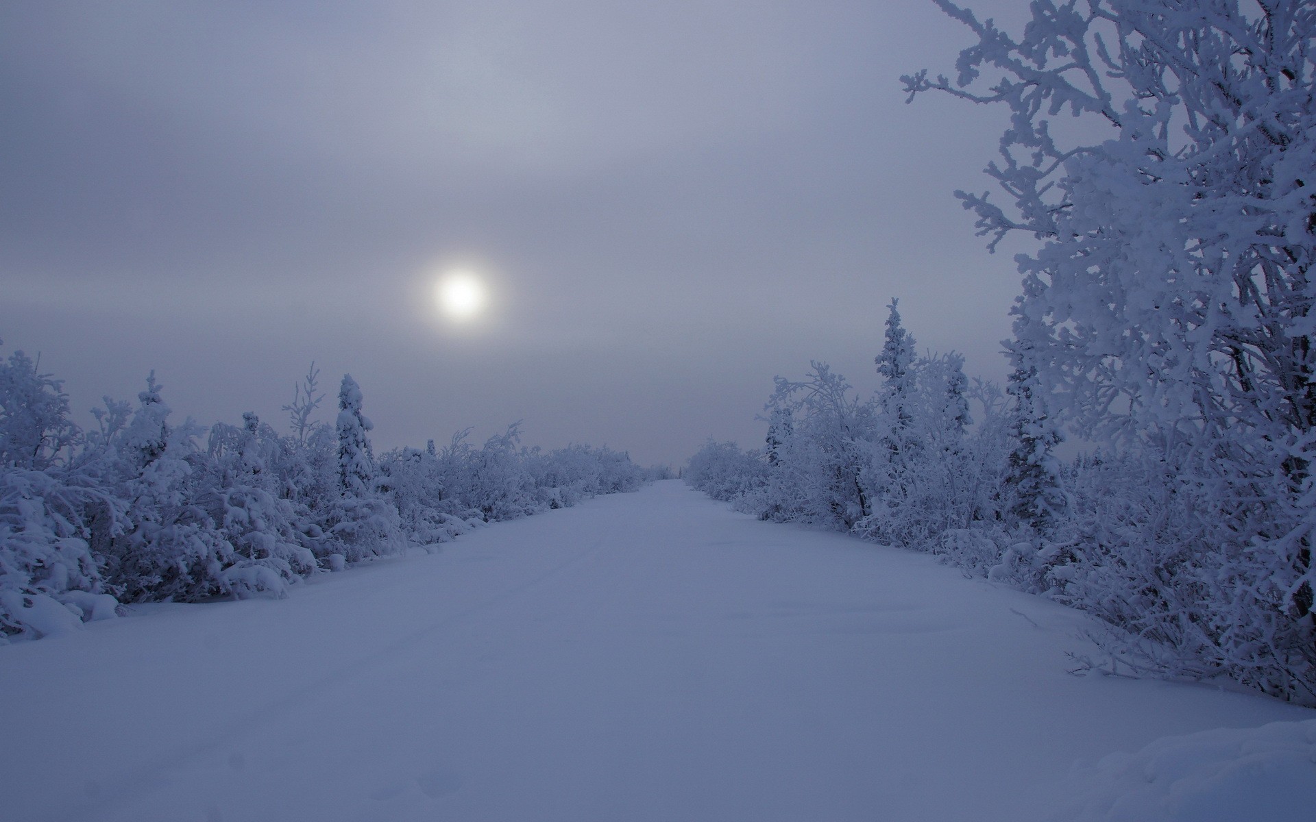 🔥 [46+] Night Snow Wallpaper Background | Wallpapersafari