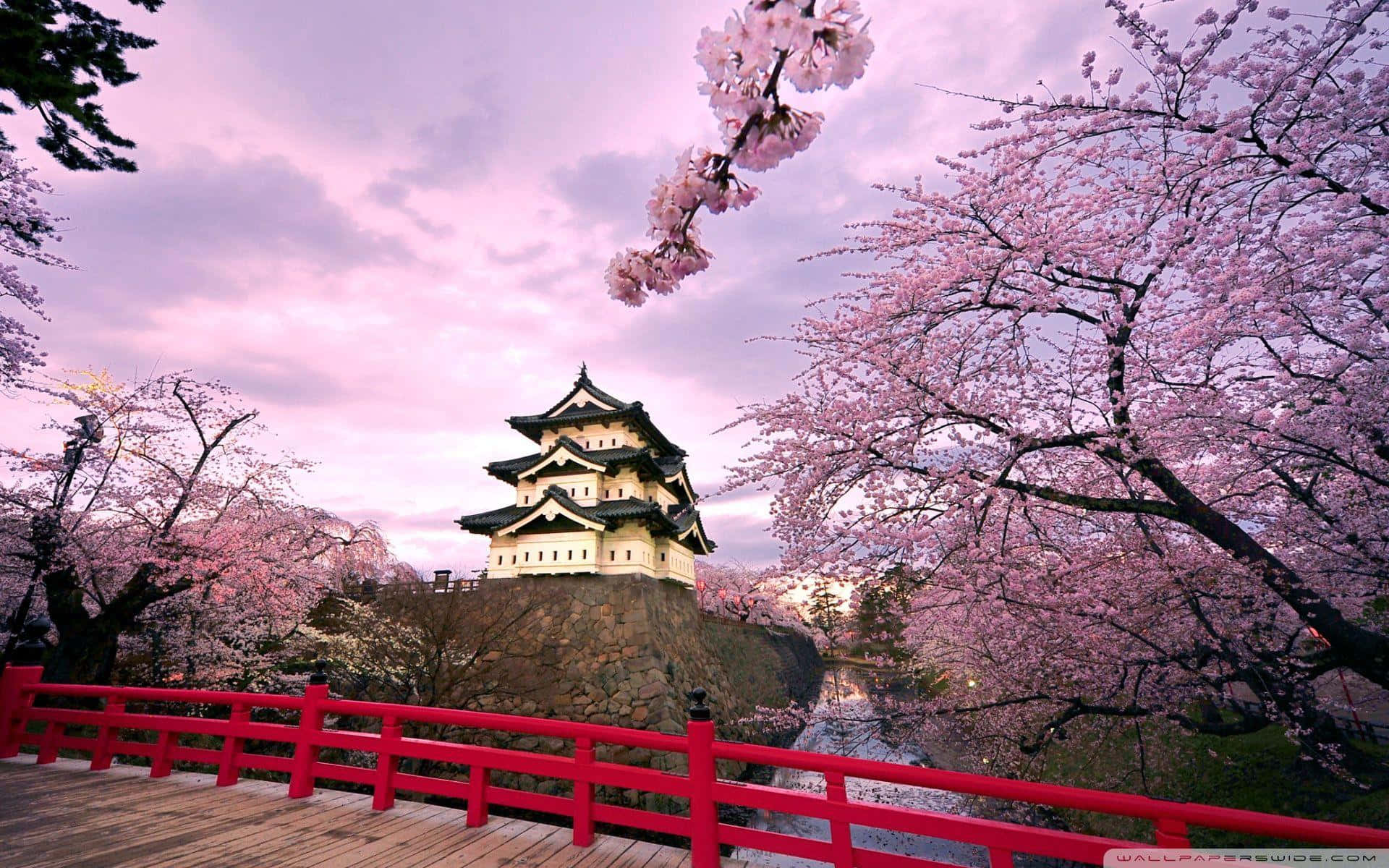 Japanese Pink Wallpaper
