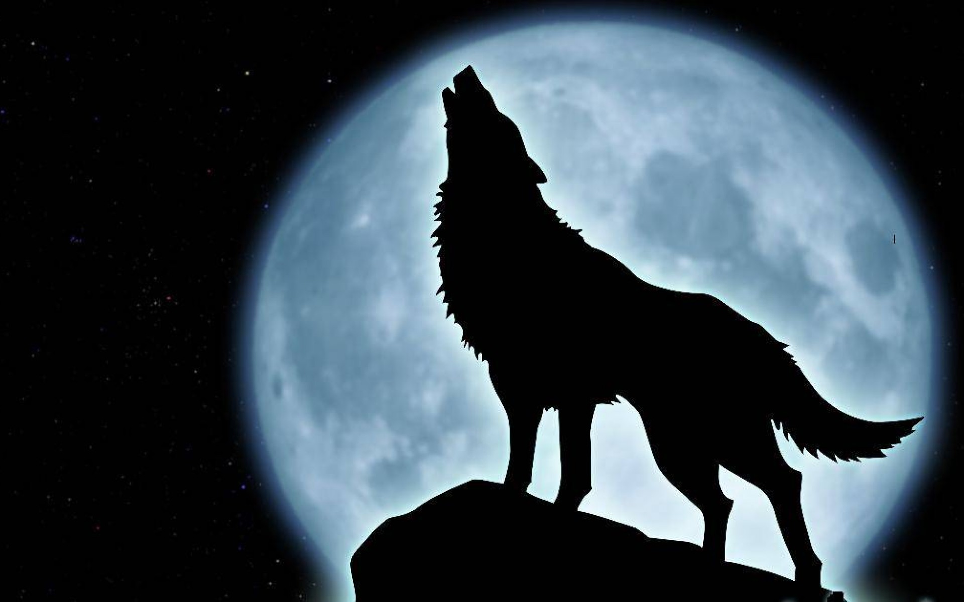 Wolf Howling Wallpaper Image Pictures Becuo