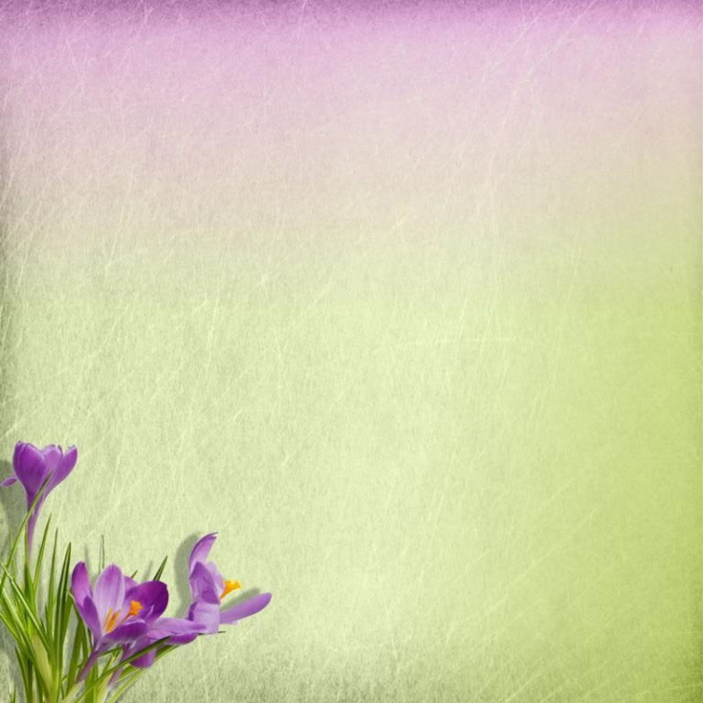 Green And Purple Wallpaper Hd Lovely