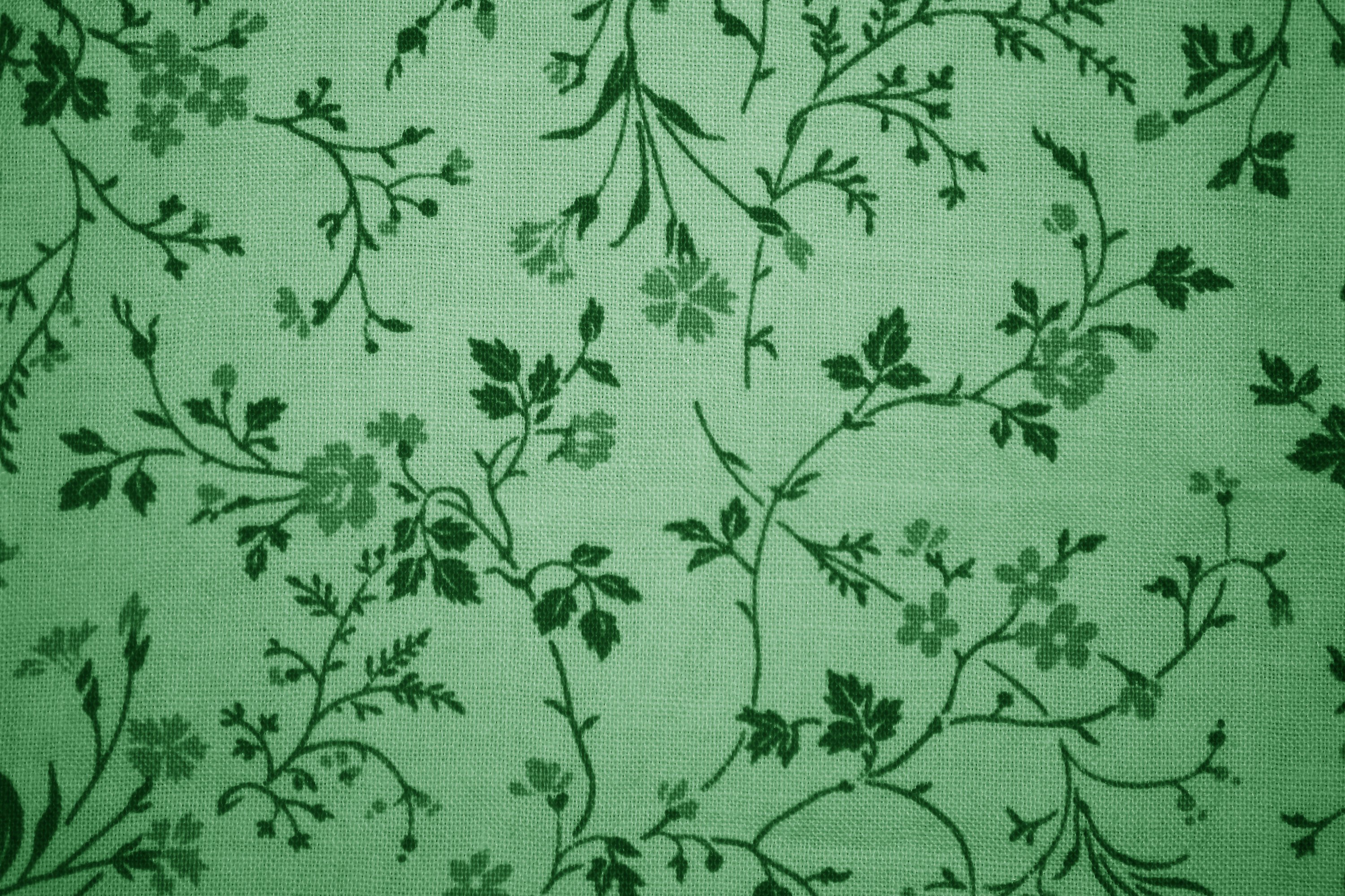 Green Floral Print Fabric Texture Picture Photograph Photos