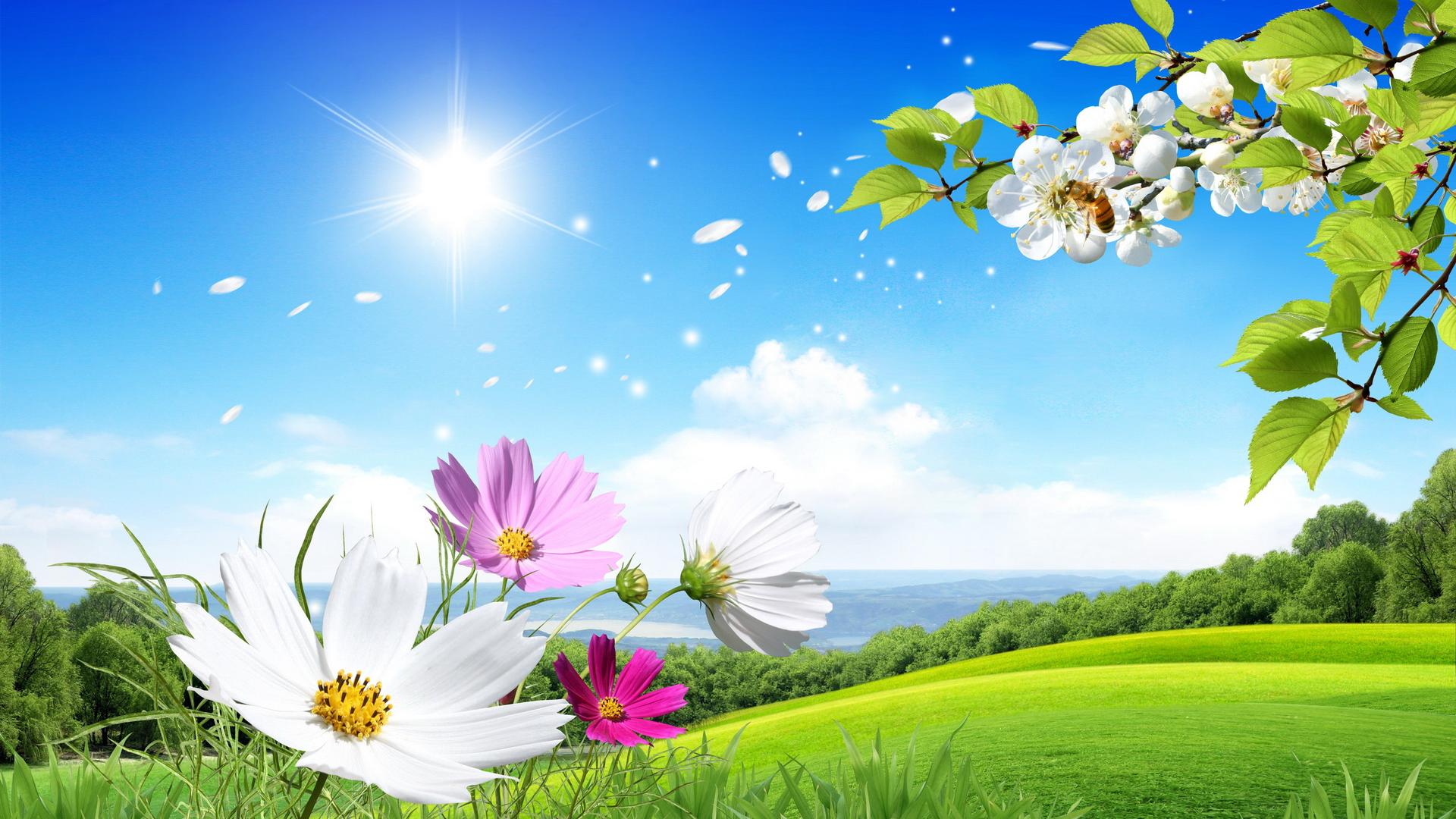 Beautiful Summer And Flowers Scenery Wallpaper