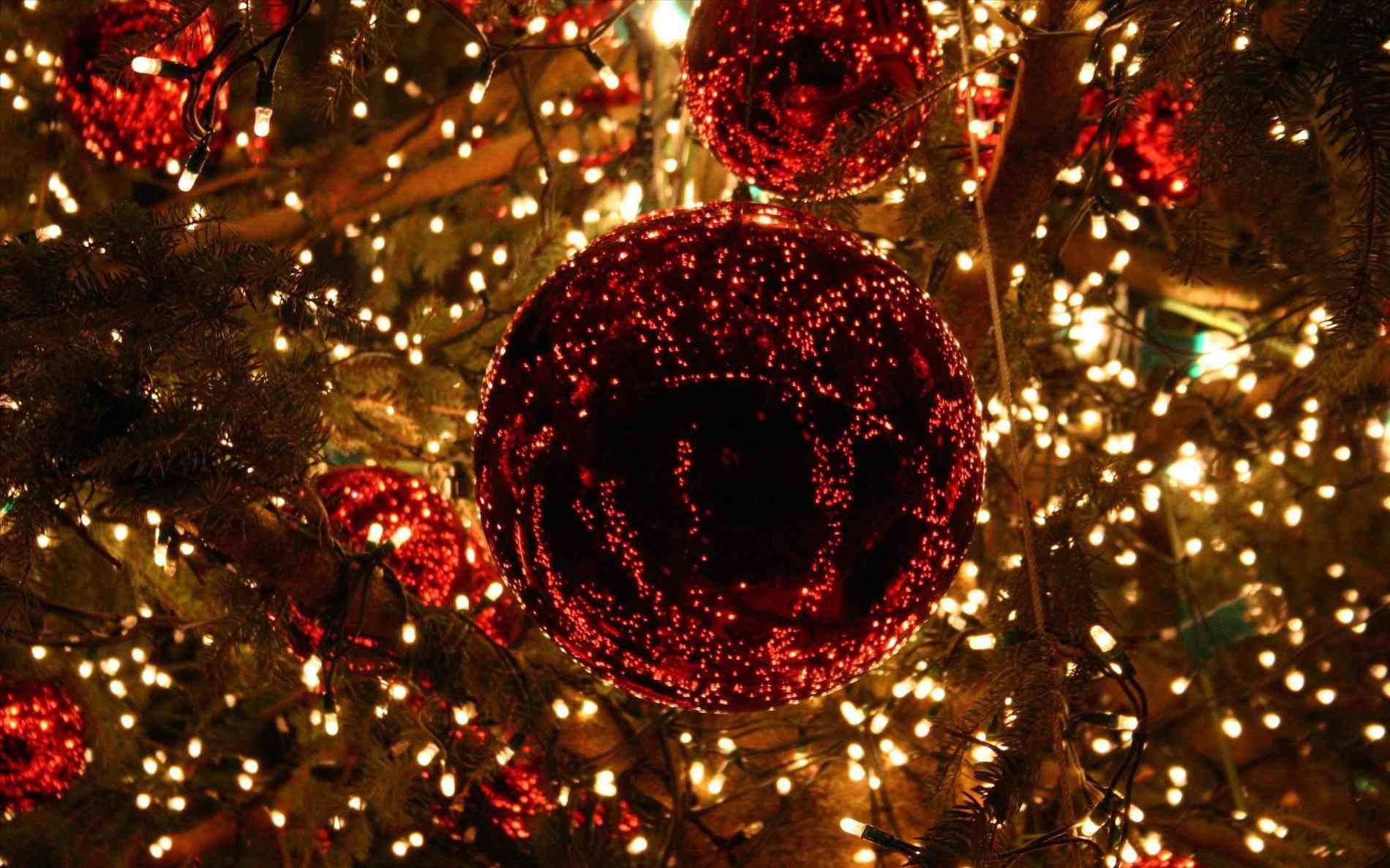 New Post Christmas Tree Lights Desktop Background