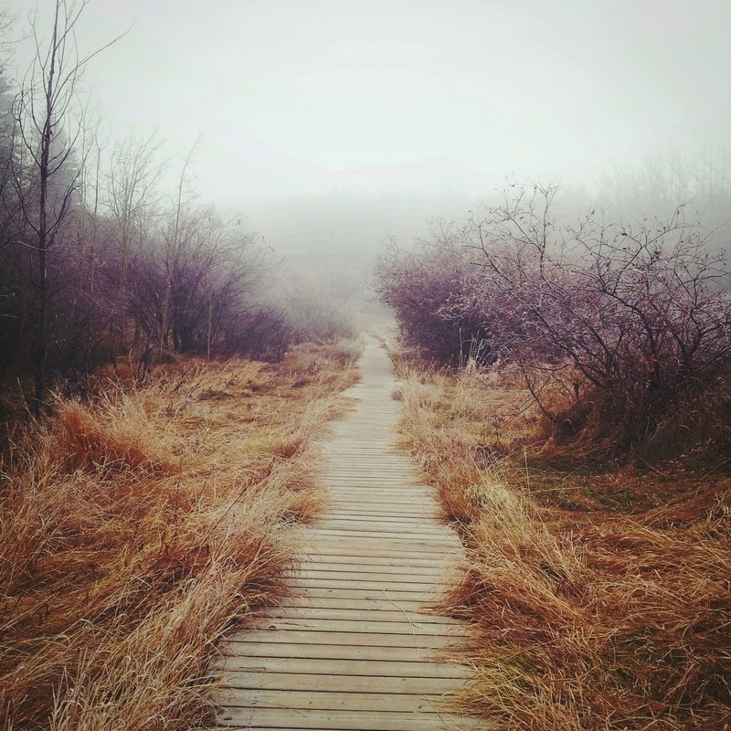My Life In Photographs Wallpaper