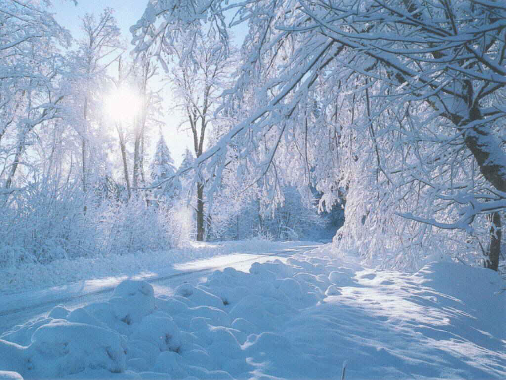 Games Wallpaper Winter Season