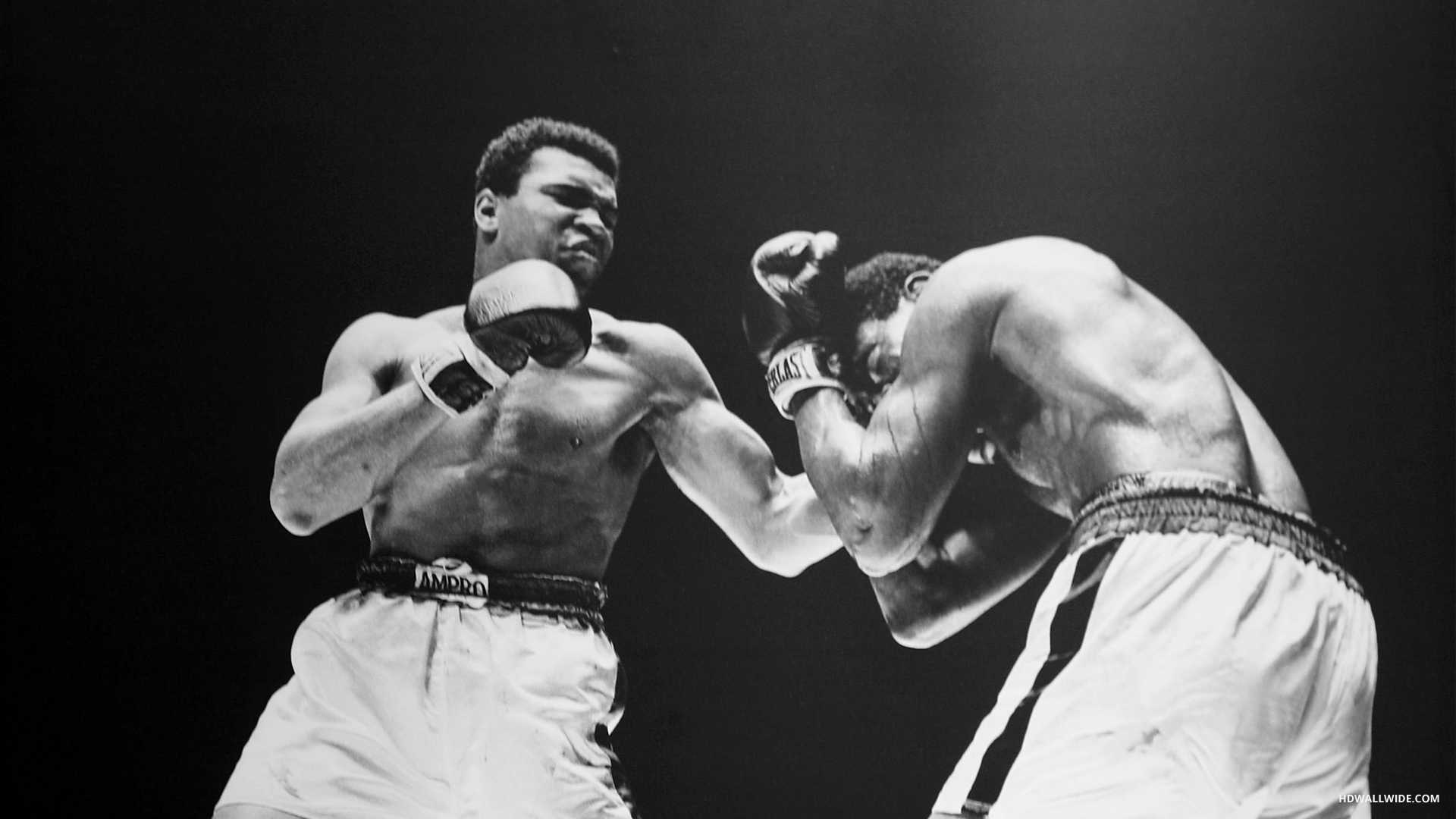 Wallpaper Muhammad Ali Boxing Fight HD Upload At October