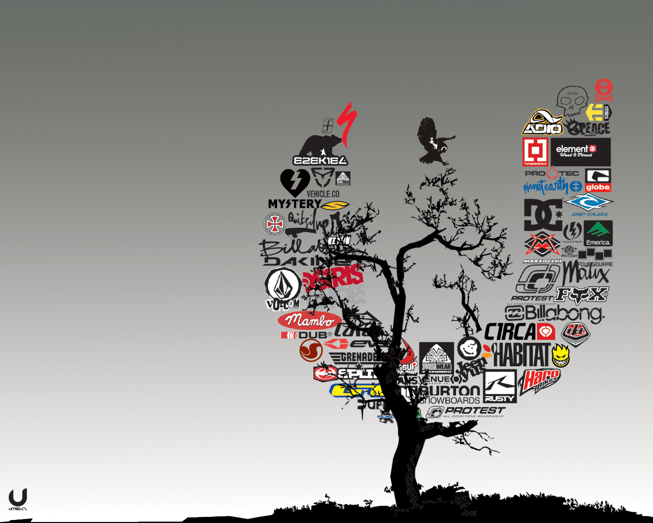 Logo Graphic Design Tree Wallpaper S