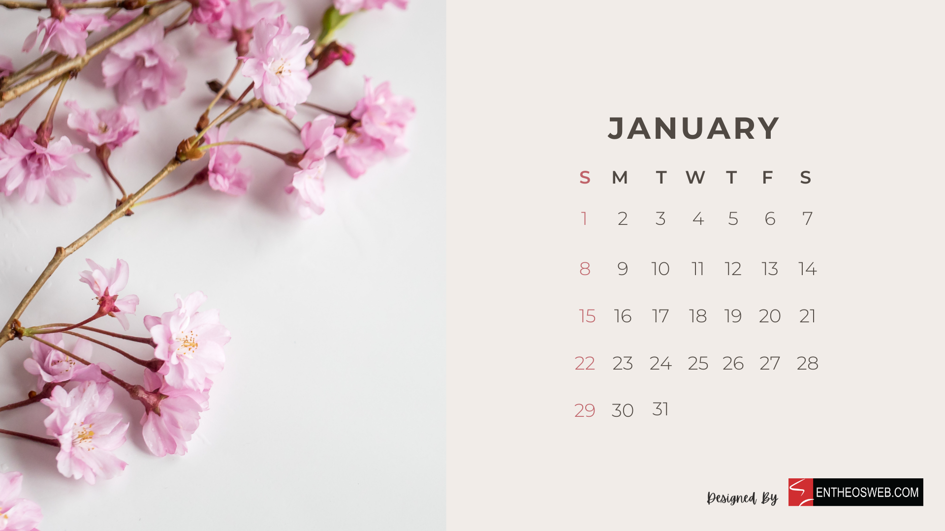 Beautiful Flowers Monthly Calendar For Desktop Wallpaper And