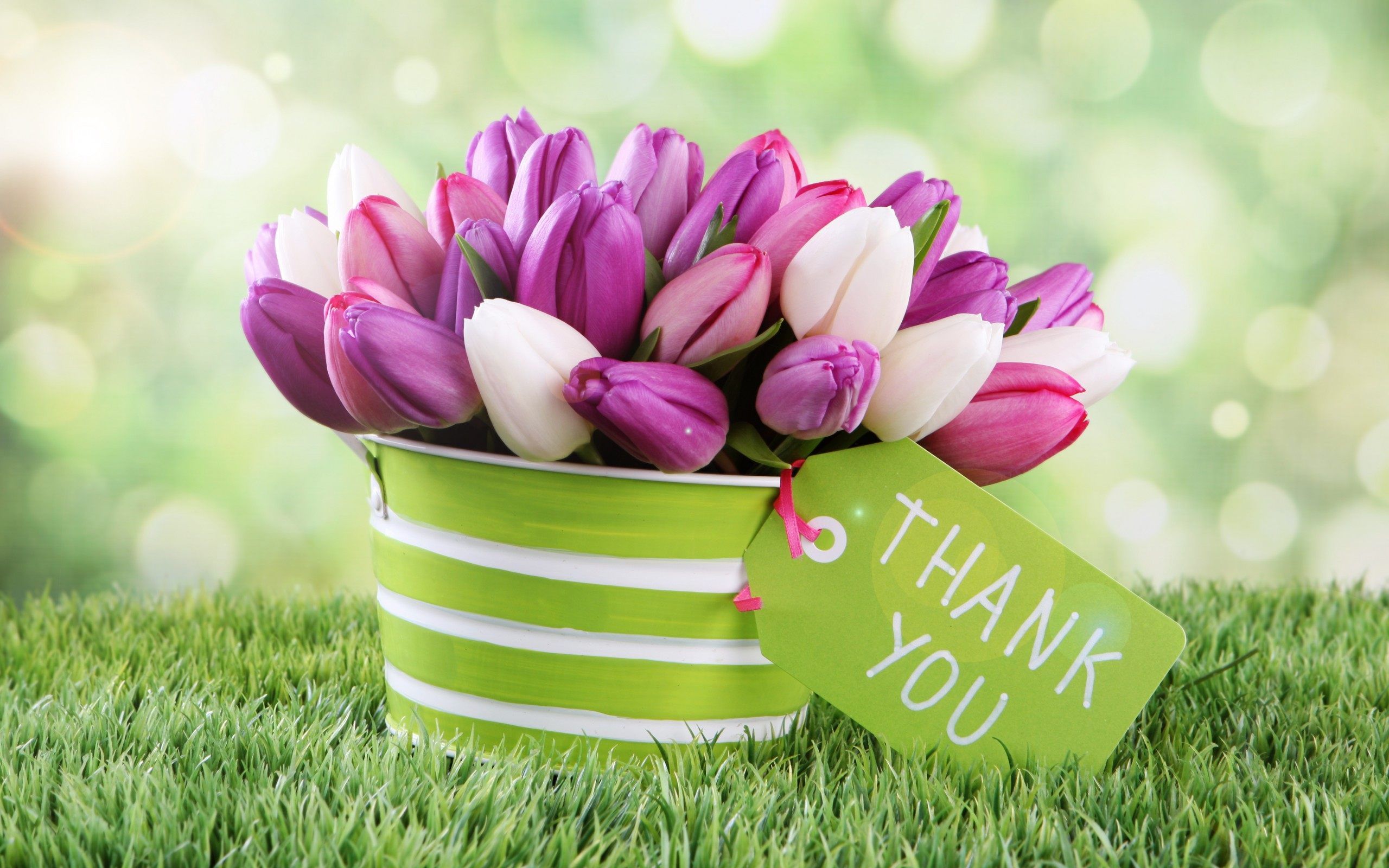 Image Of Thank You Flowers Wallpaper Background With High