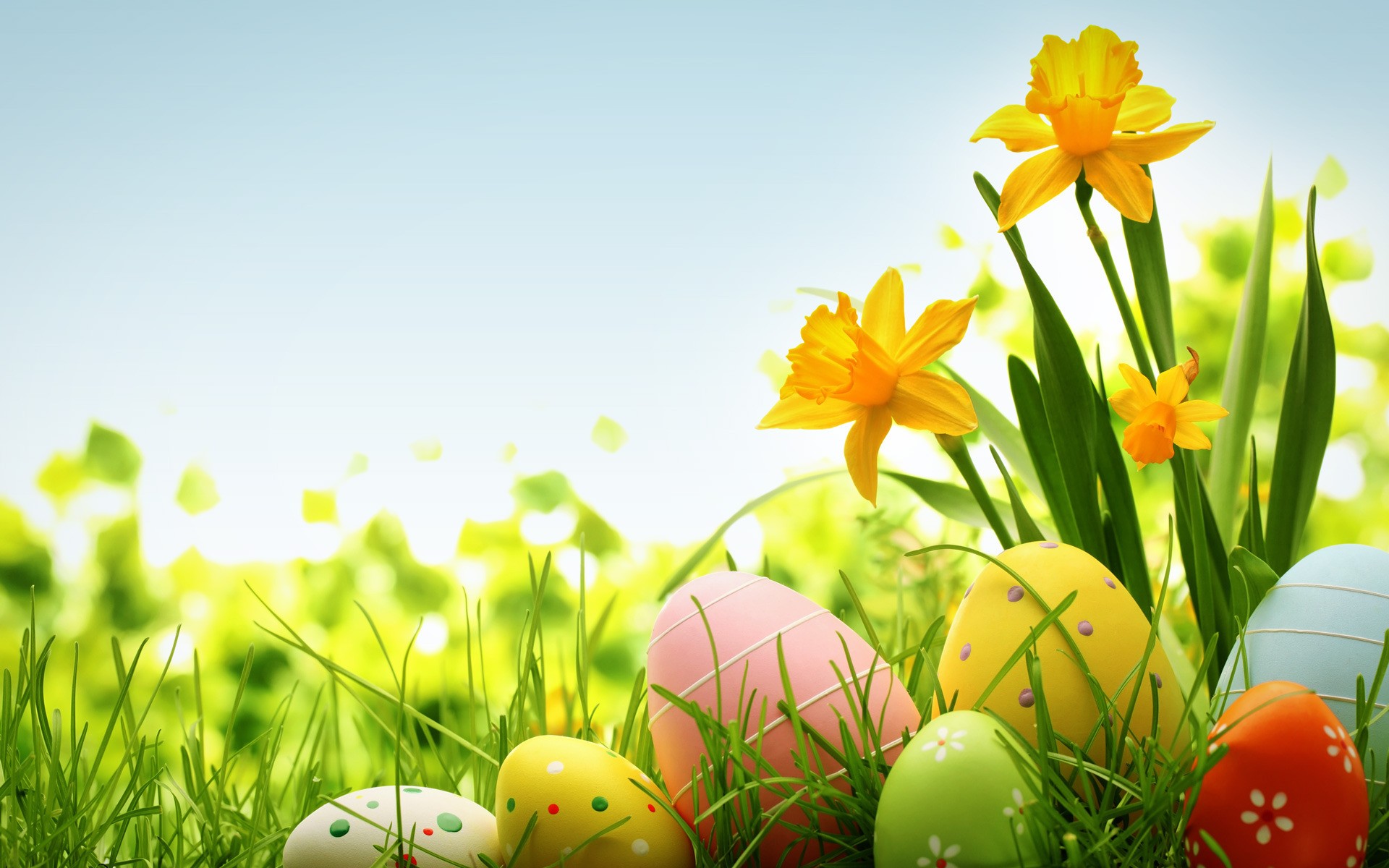 Colorful Easter Eggs Holiday HD Wallpaper Stock Photos