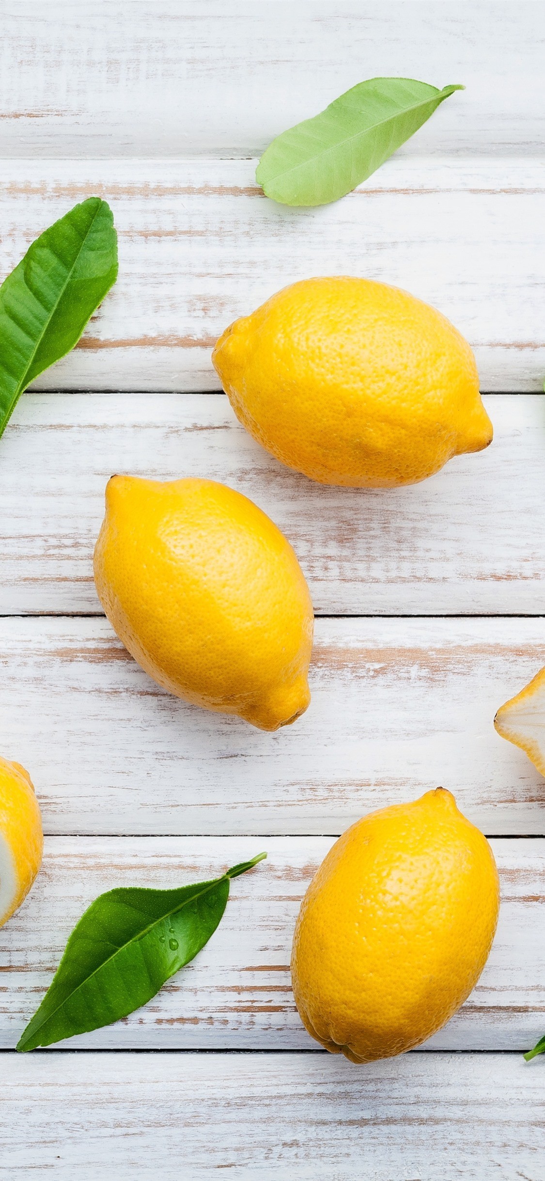 Nature Lemon Wallpaper