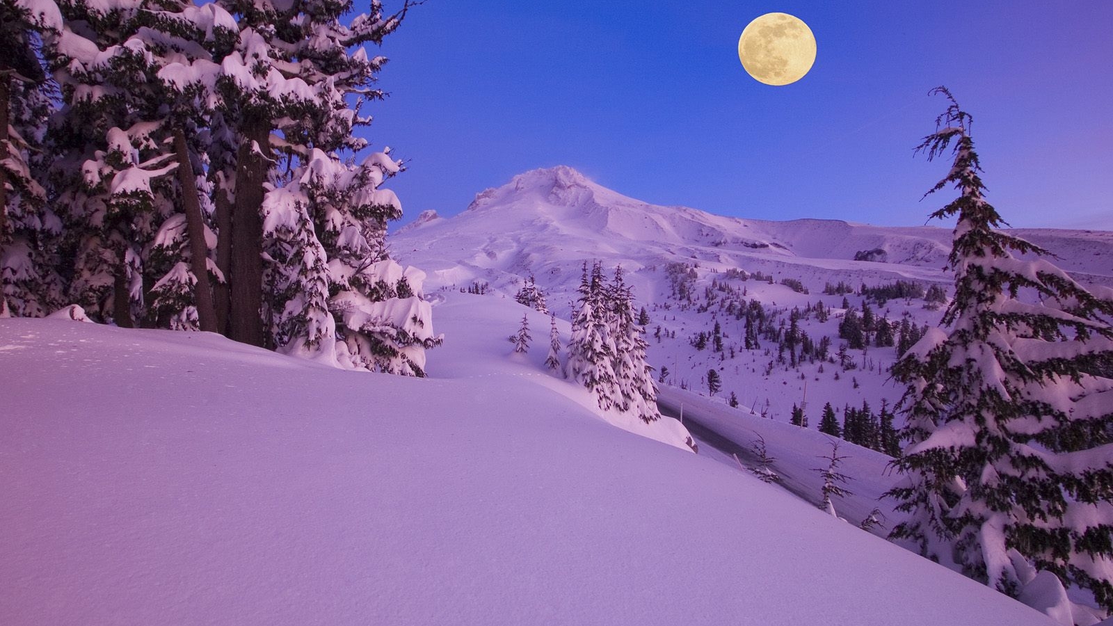 Winter Snow Desktop Wallpaper HD Luna Llena En La Nieve