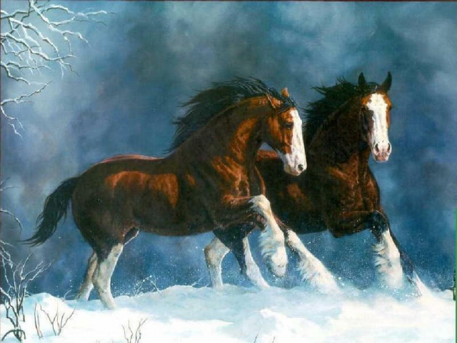 Horses In The Snow