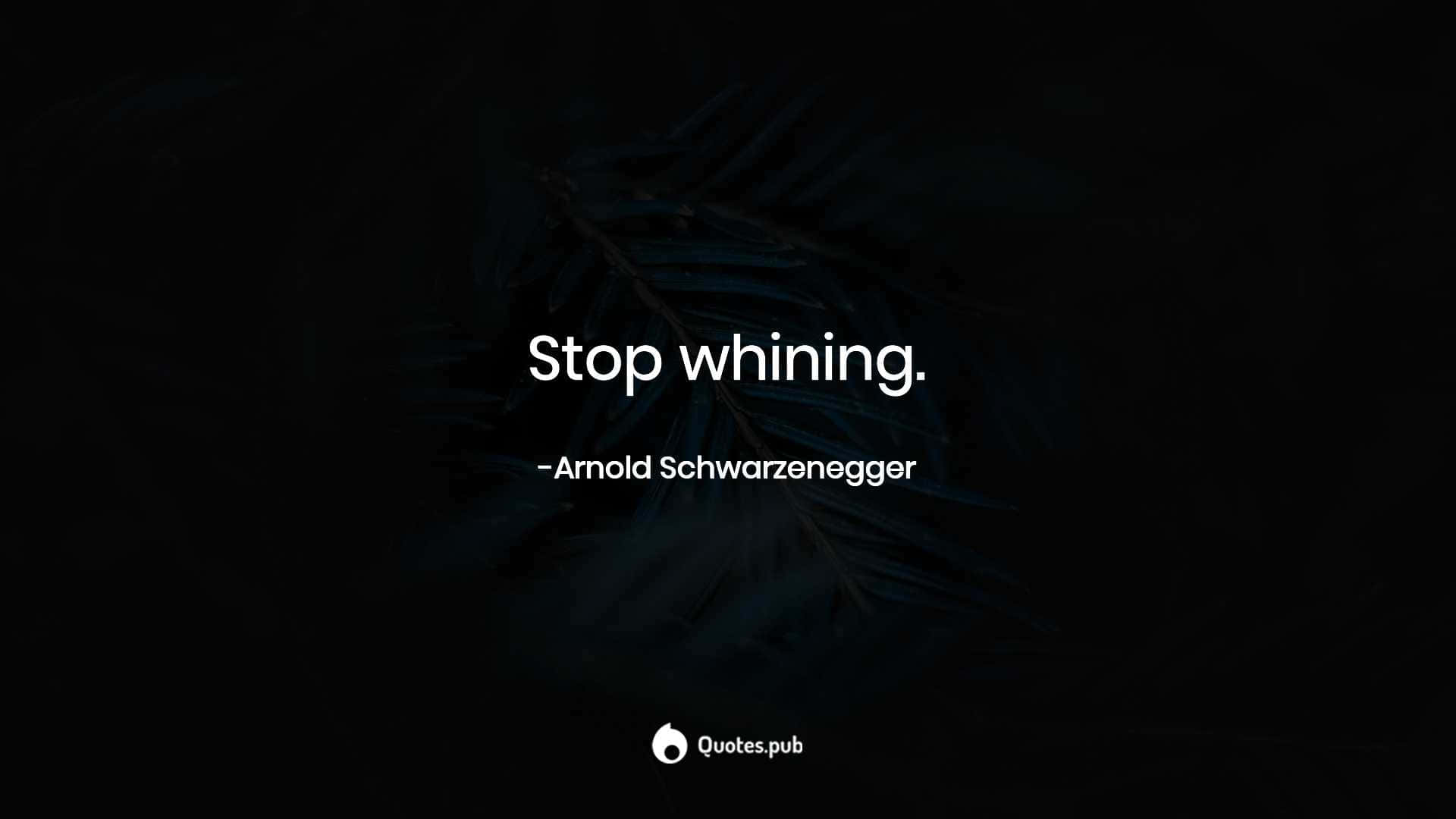 Stop Whining Quote Arnold Schwarzenegger Vfa1cg7w4sjqaxs8 Wallpaper
