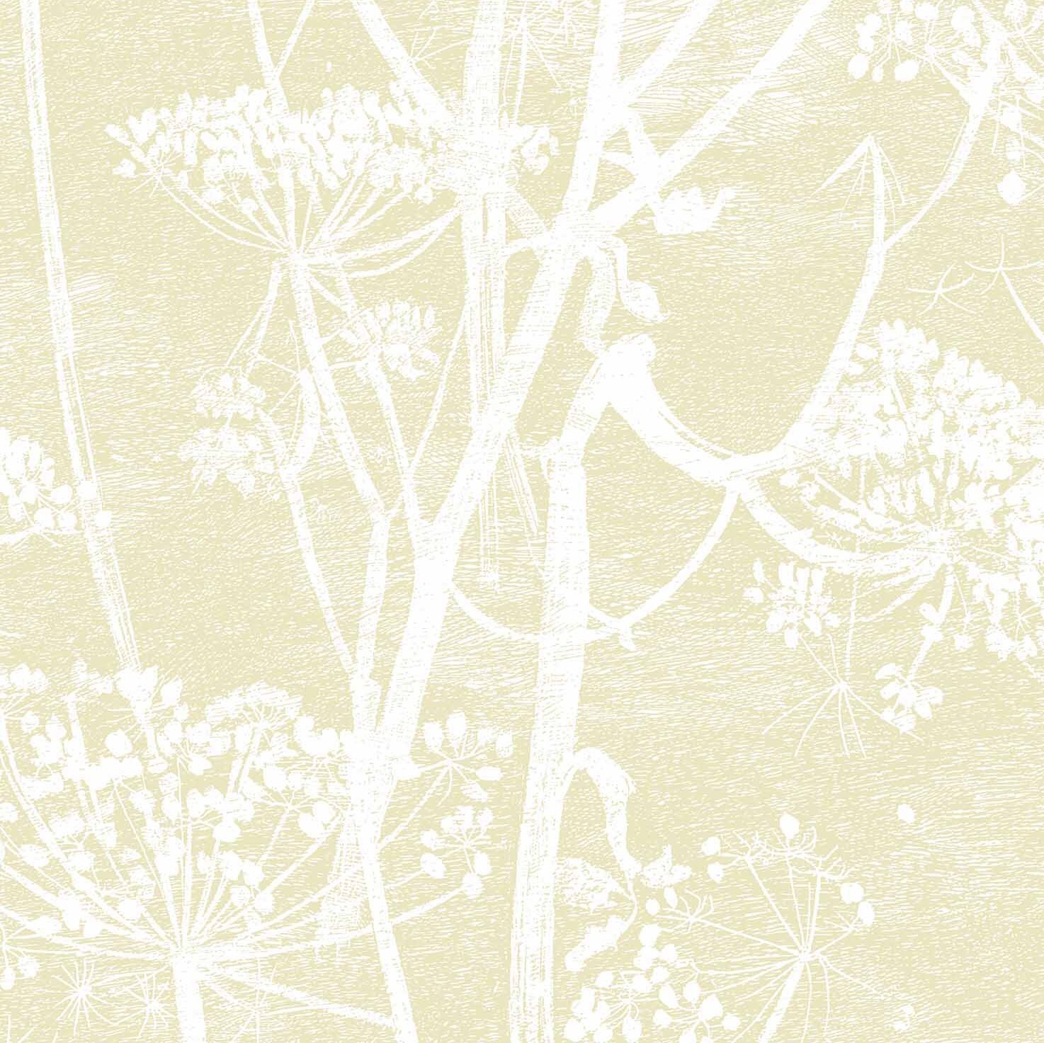 Cow Parsley Contemporary Restyled Wallpaper By Cole Son