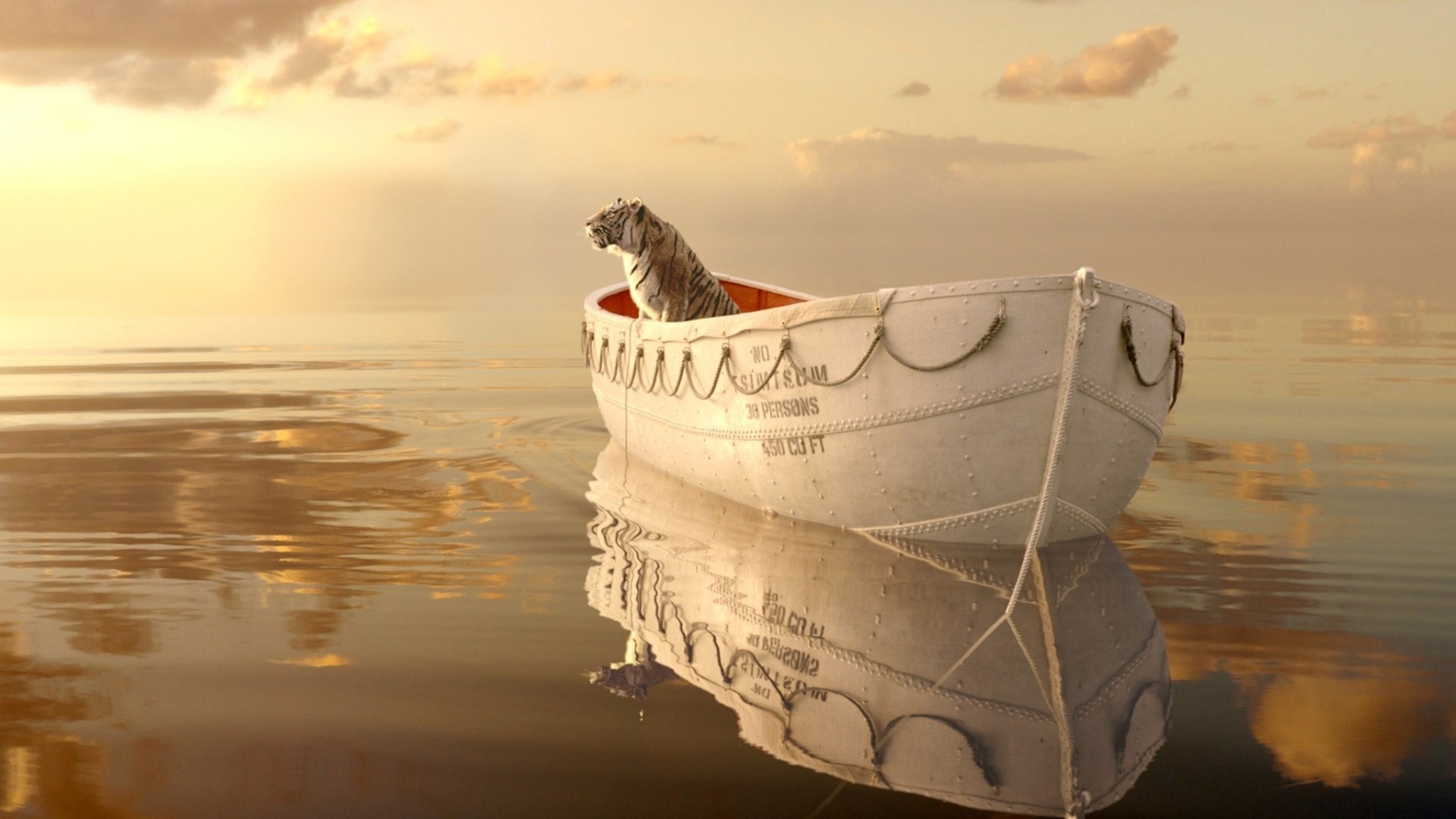 Life Of Pi HD Wallpaper Background Image