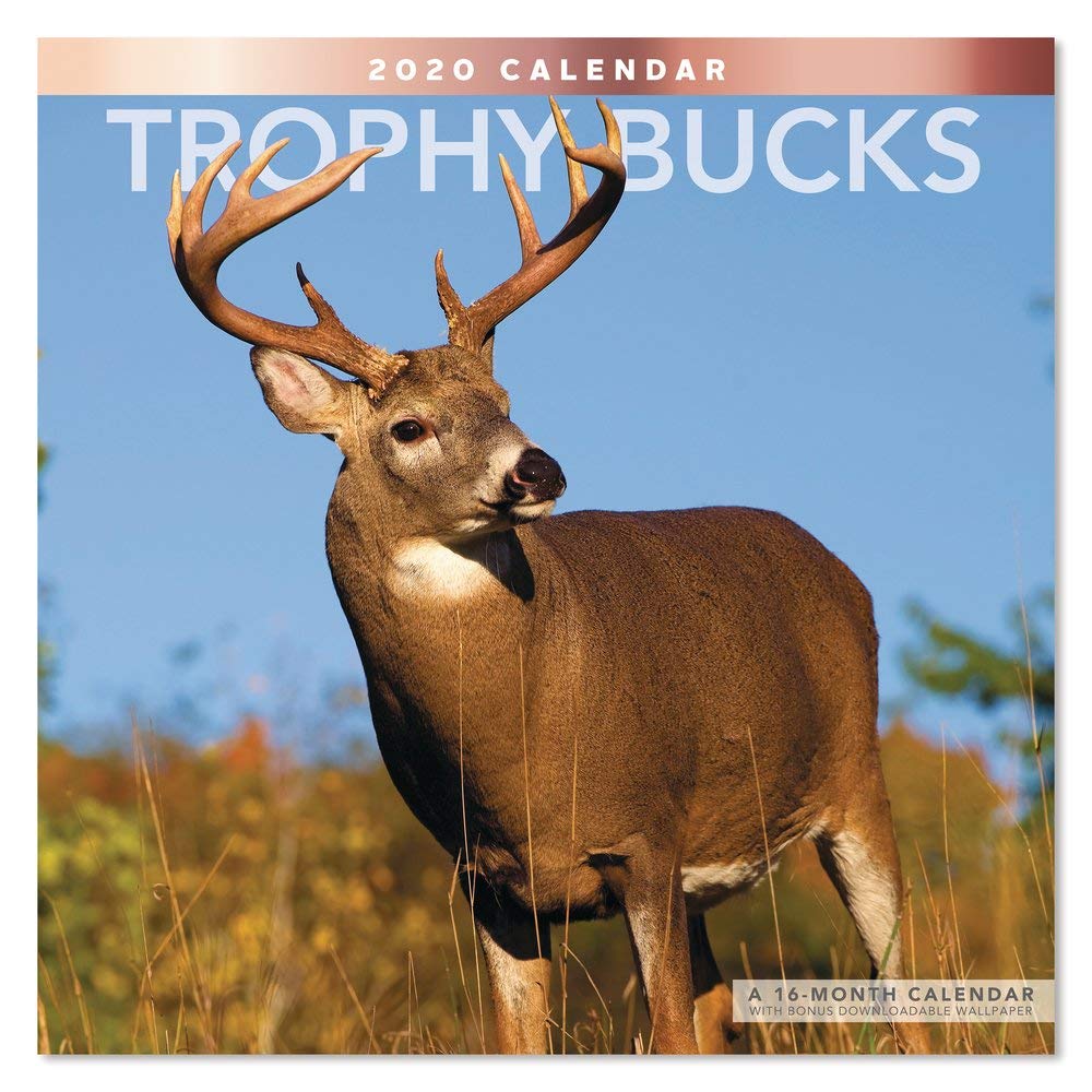 Amazon Trophy Bucks Wall Calendar Lme2151020 Office