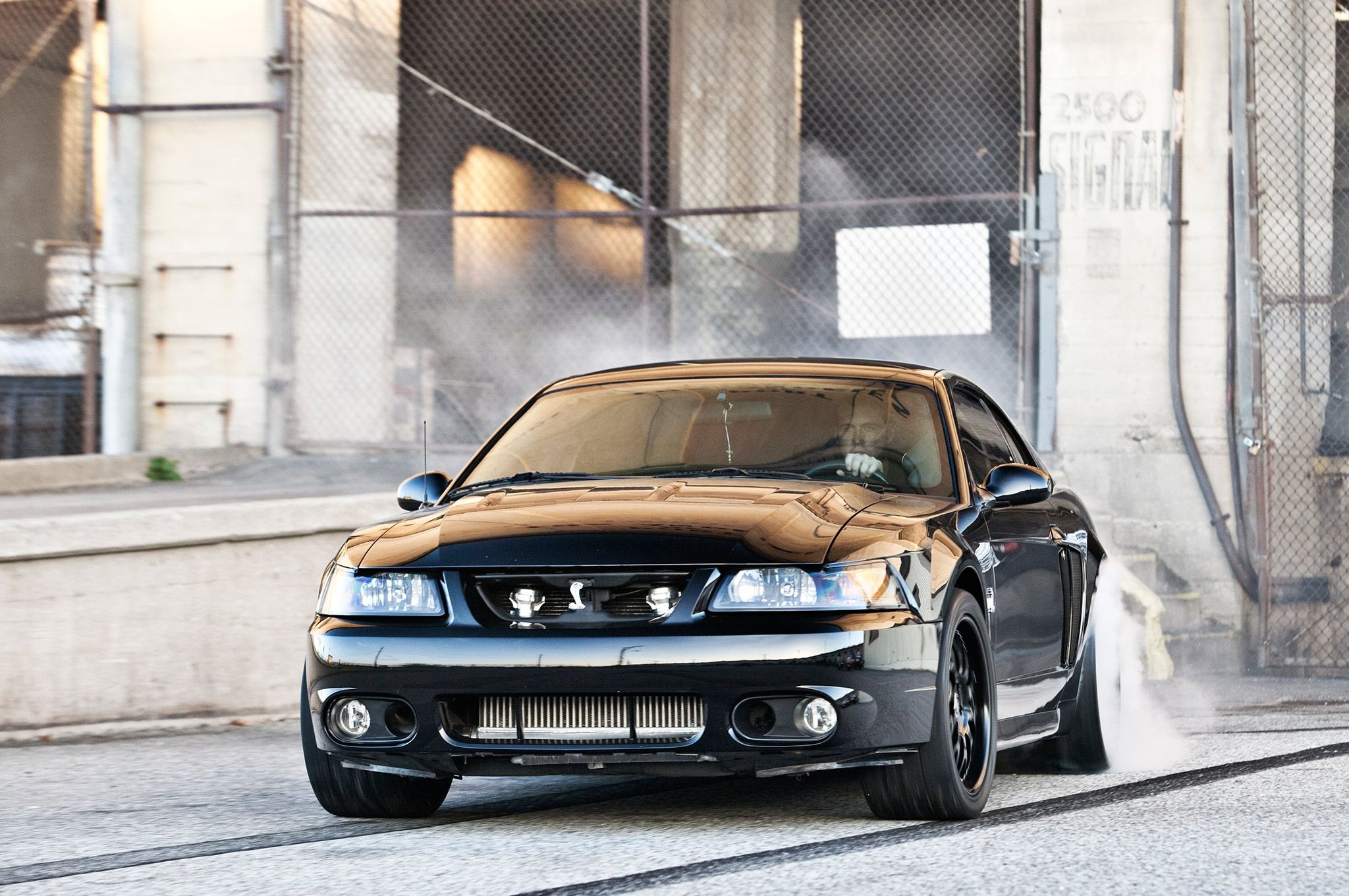 Ford Mustang Cobra Terminator Muscle Pro Touring Supercar