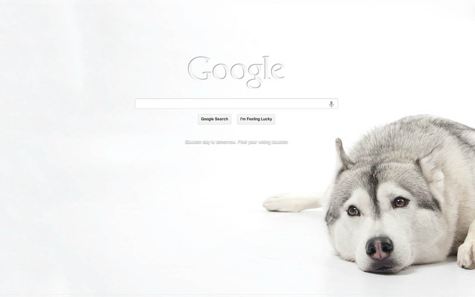 Google Background Desktop Wallpaper