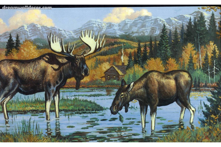 🔥 Free download Home Hunting for Turkey Wallpaper Border [650x650] for