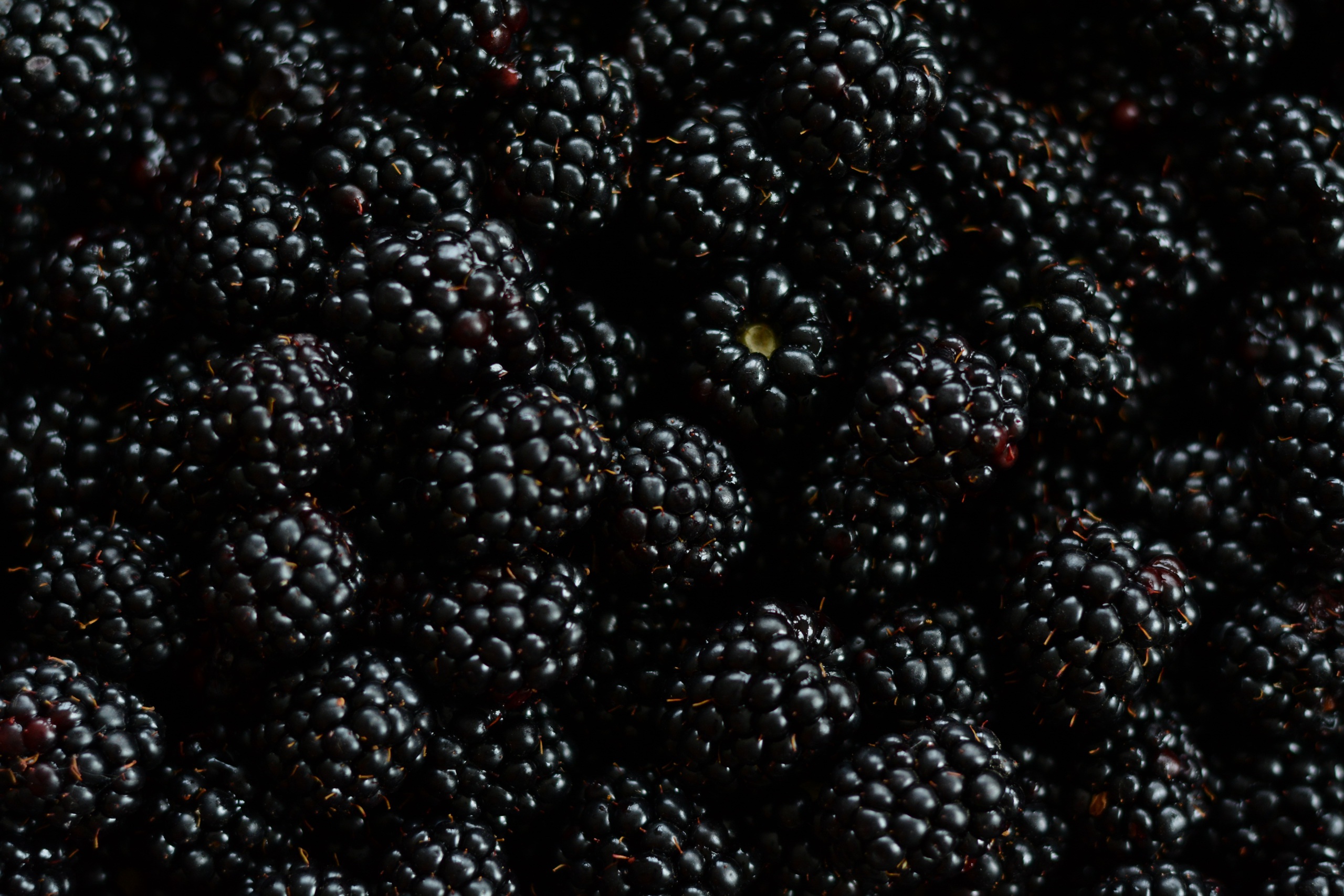 Fruit Berry Food Blackberry HD Wallpaper